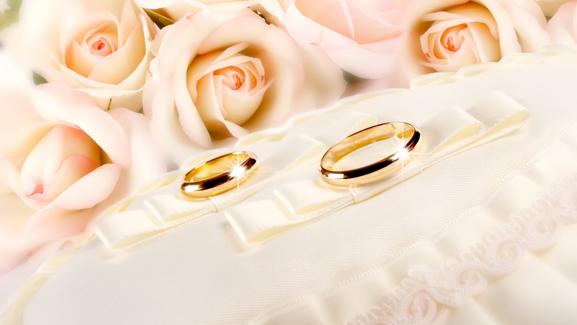 1920x1080  Wallpaper rings, wedding, gold, glitter, fabric, flower, rose