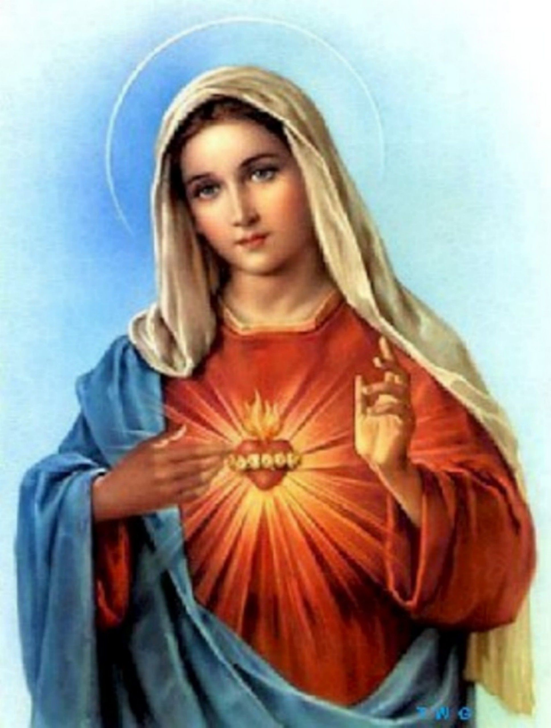 Blessed Virgin Mary Wallpaper.