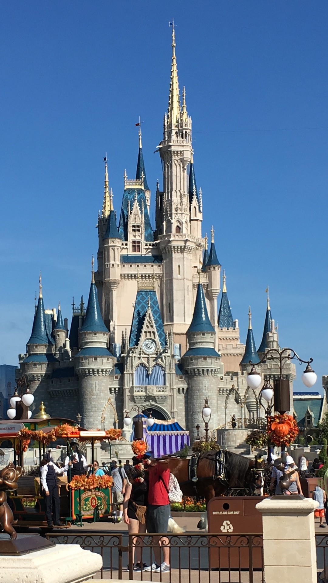1080x1920 Cinderella Castle
