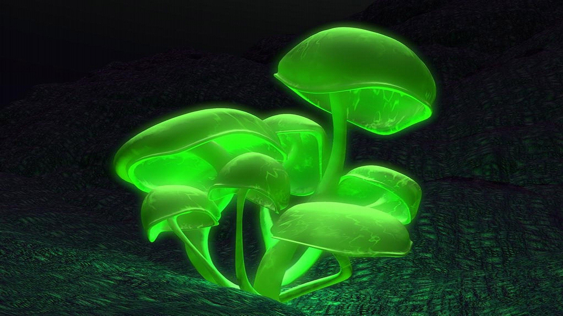 1920x1080 Glowing green mushrooms wallpaper #12386