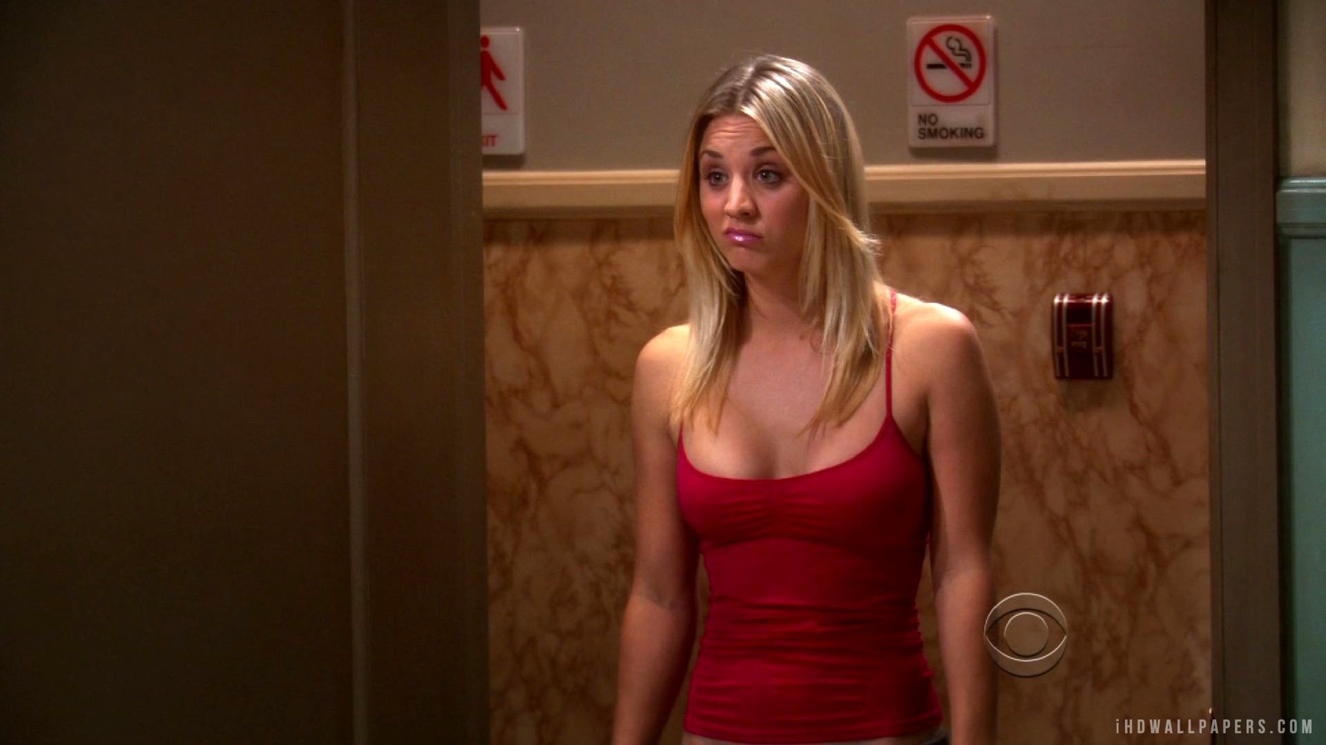1920x1080 Kaley Cuoco The Big Bang Theory Wallpaper/Background in  .