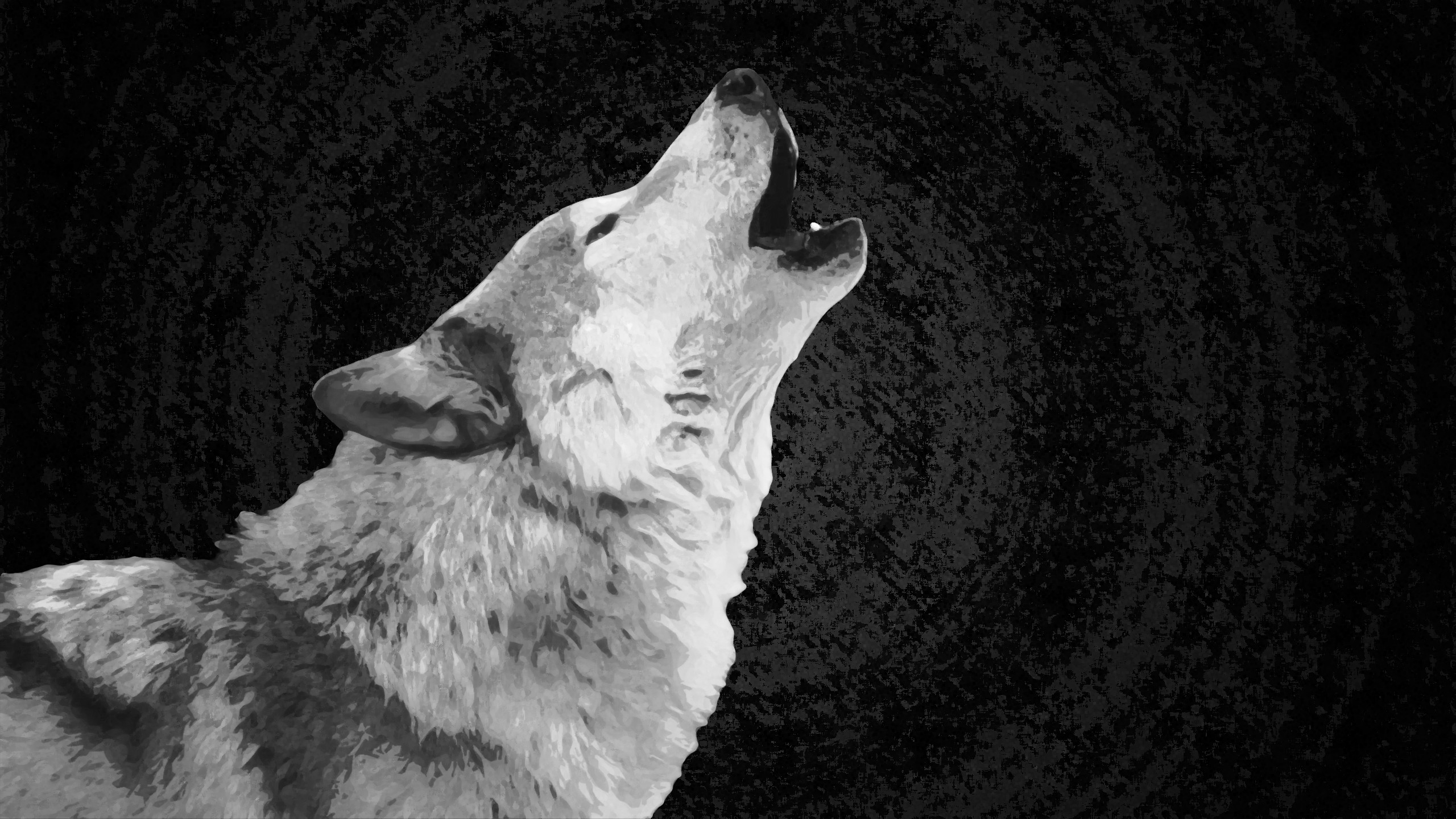 2560x1440 White Wolf wallpaper high definition