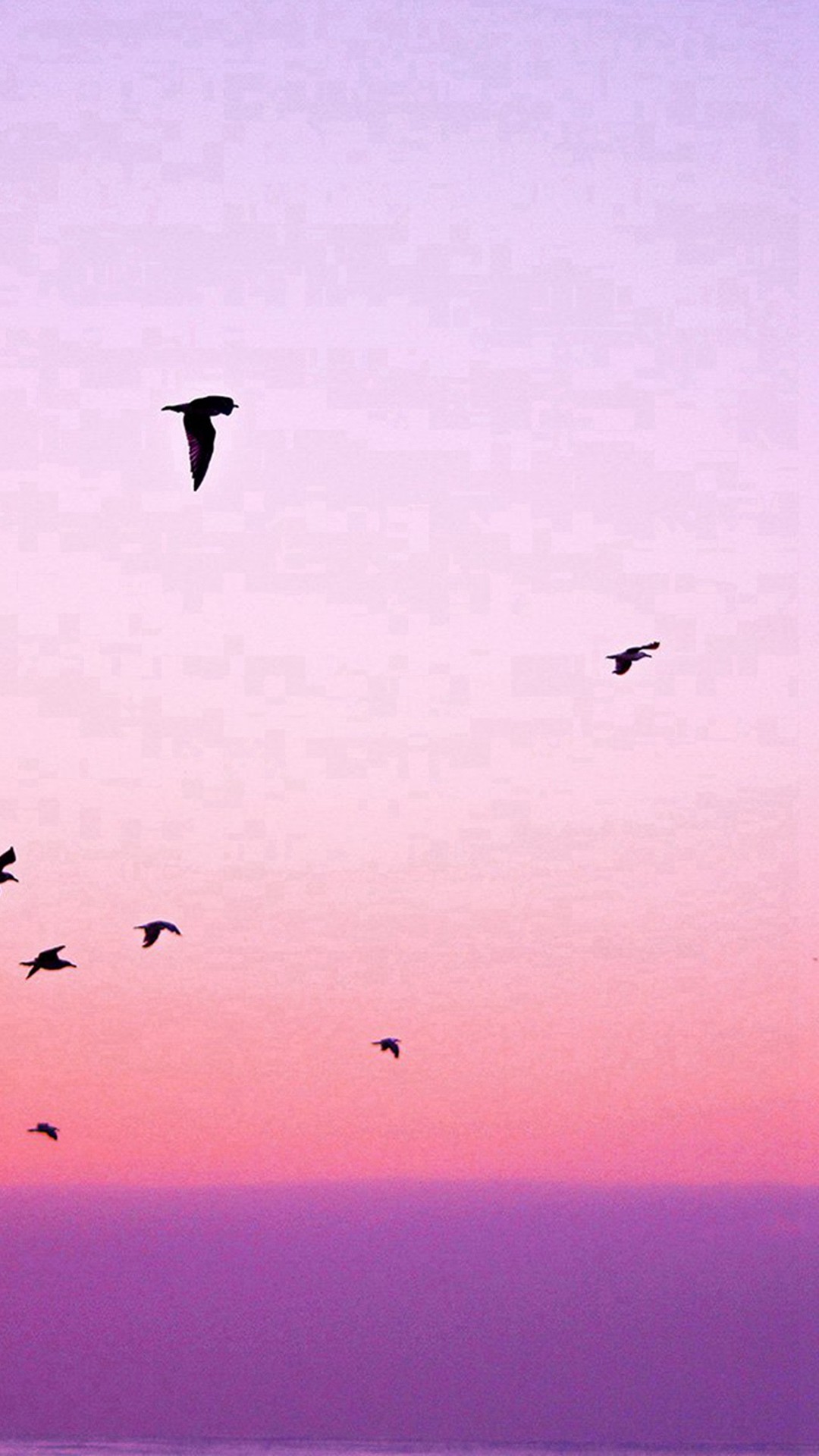 1080x1920 Sky Bird Pink Red Sunset Nature #iPhone #6 #wallpaper