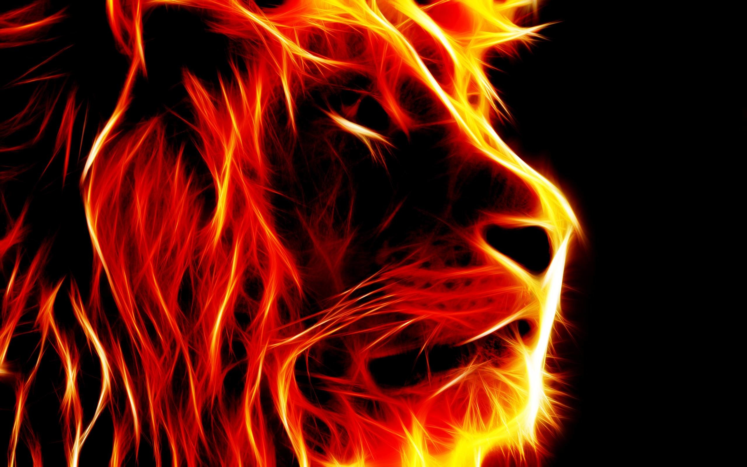 2560x1600 Noteworthy Artistic Fire Lion Wallpaper Hd PX ~ Artistic .
