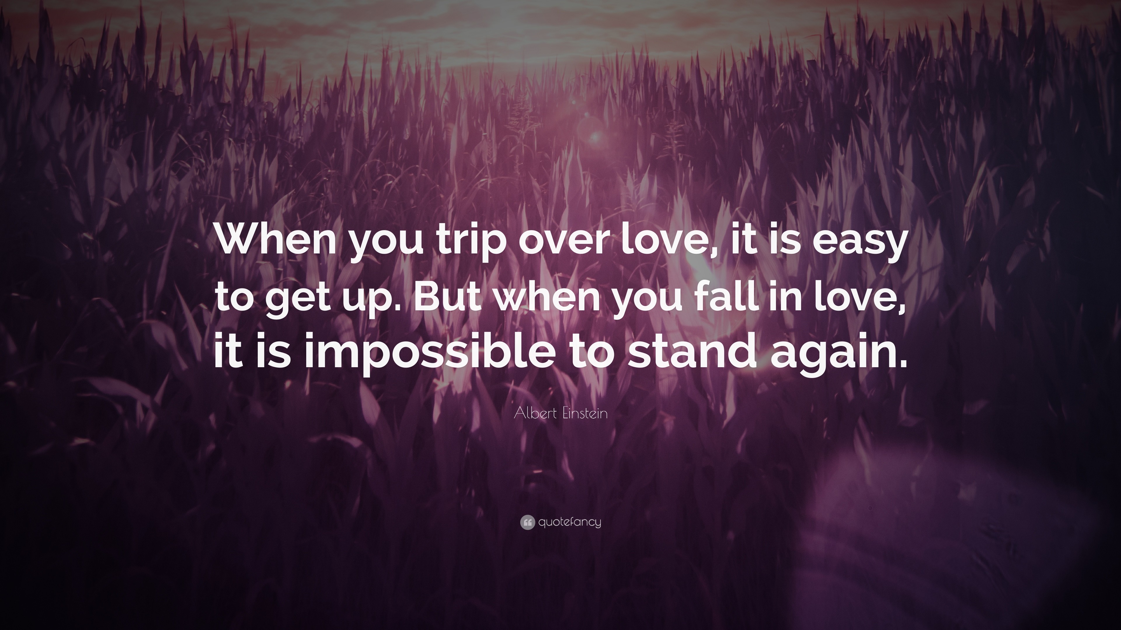 3840x2160 Albert Einstein Quote: “When you trip over love, it is easy to get