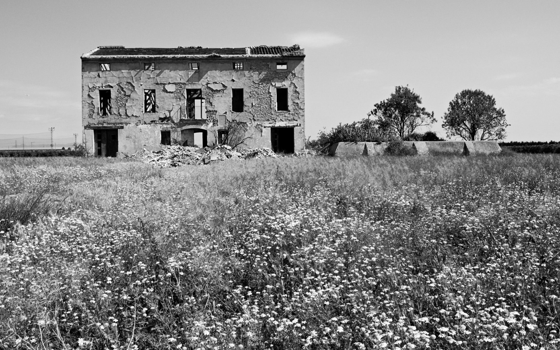 1920x1200 Image: Abandoned Building wallpapers and stock photos. Â«