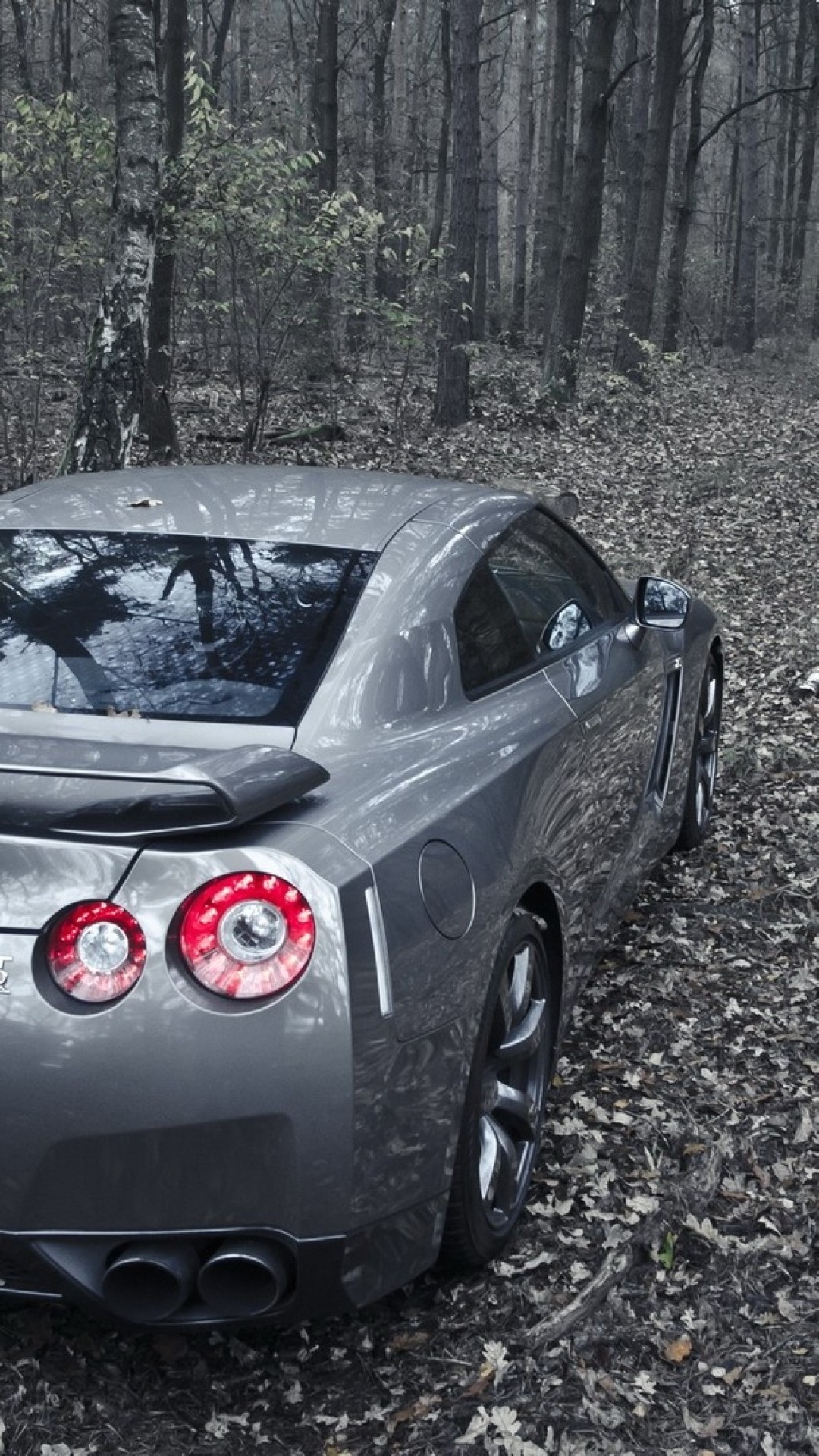 1080x1920 Nissan Gt-r R35, Forest, Back View, Spoiler, Silver, Cars