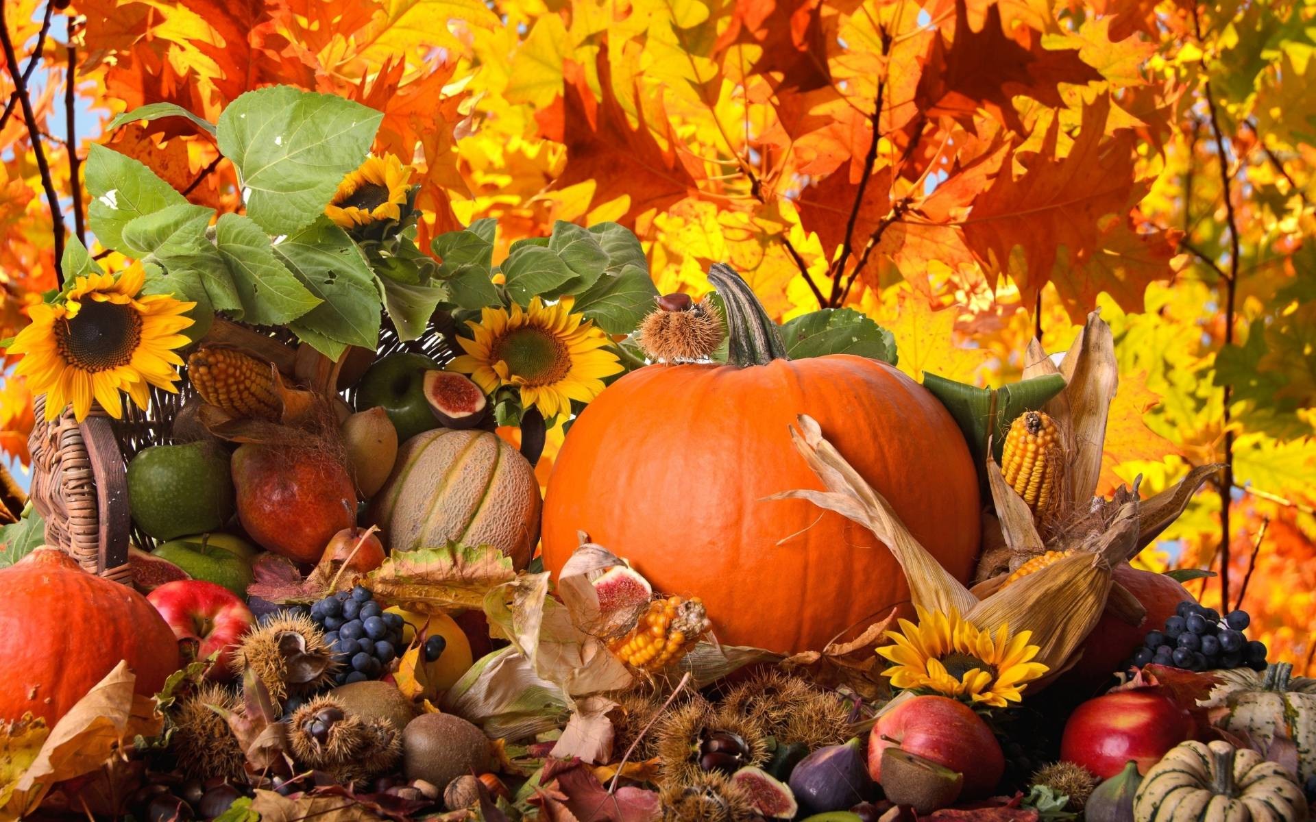 1920x1200 Thanksgiving Wallpapers and Backgrounds