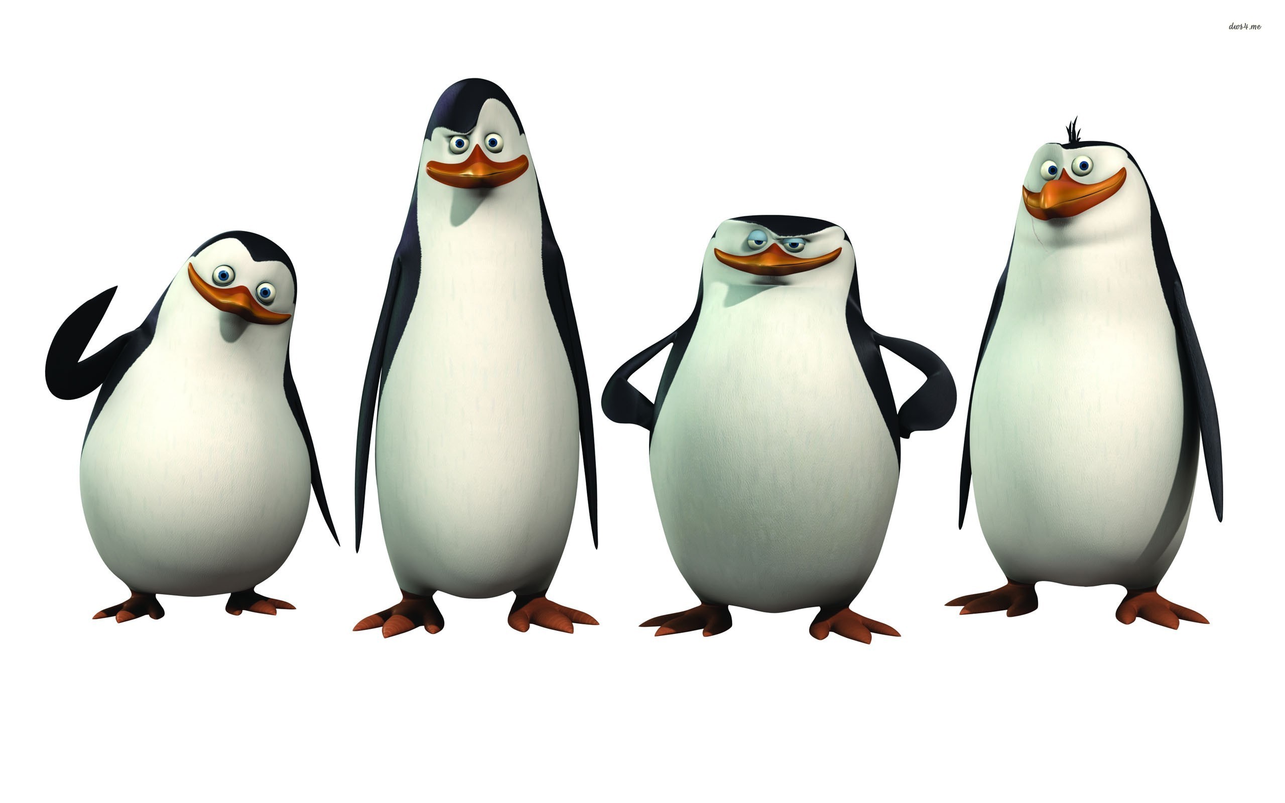 2560x1600 Cartoon Penguin #1574334