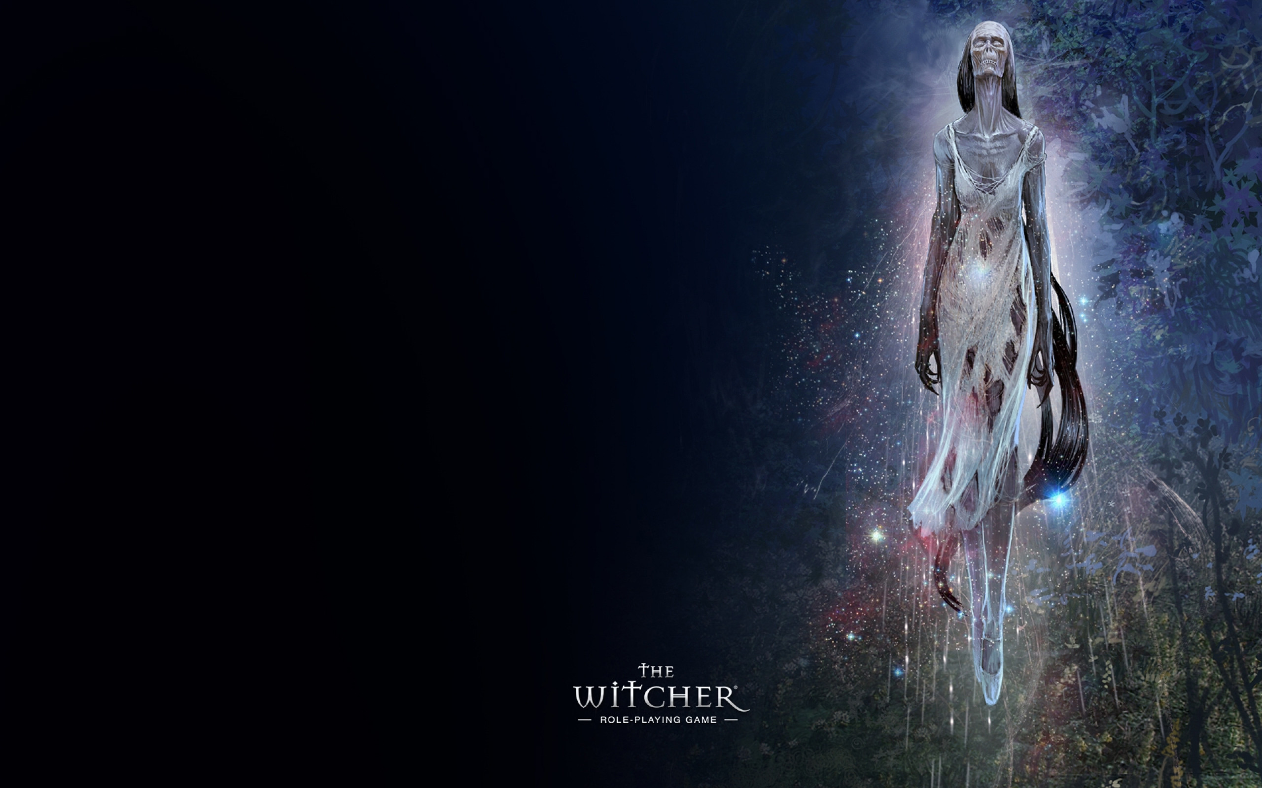 2560x1600 Preview the witcher