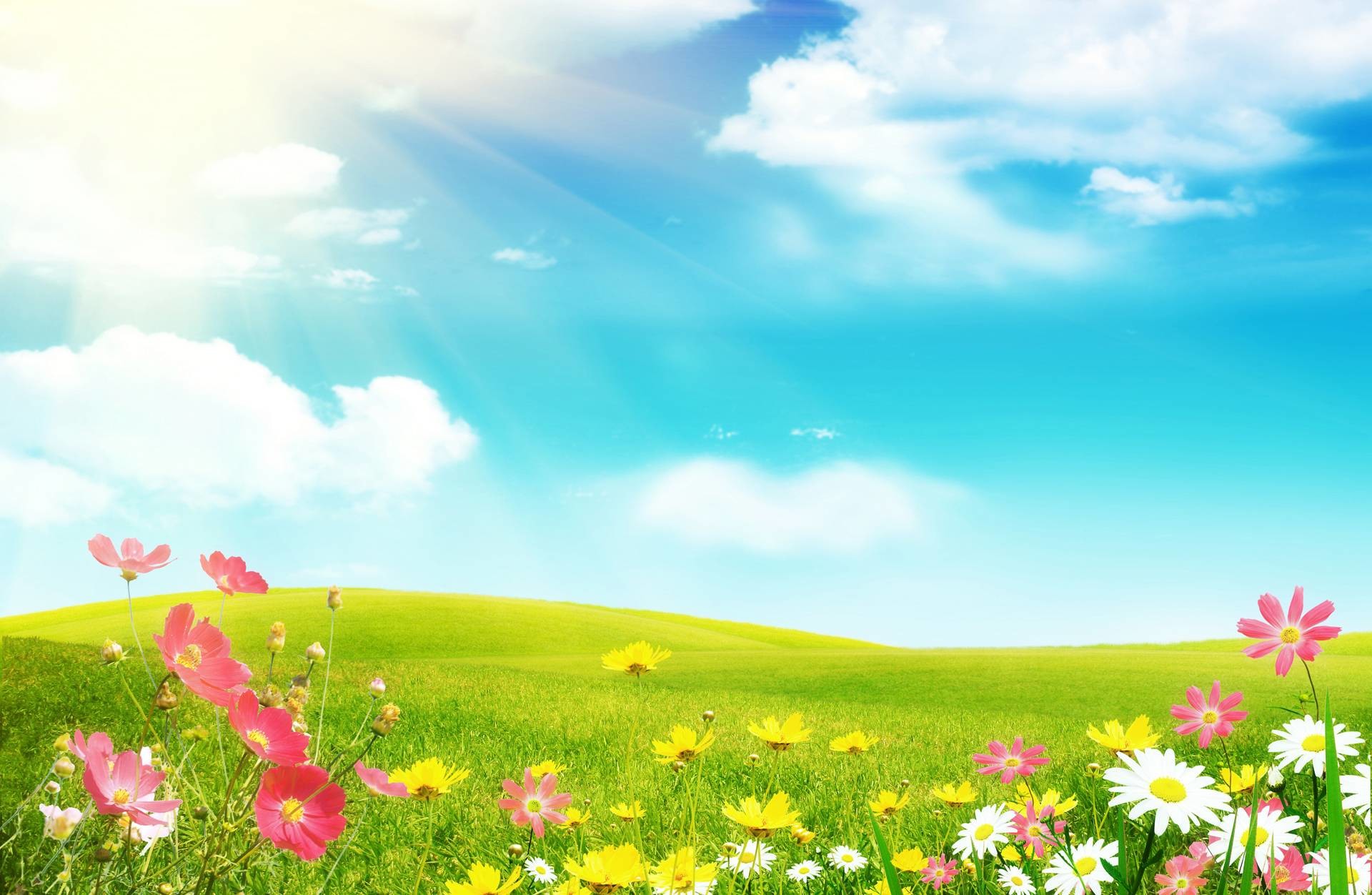 HD Spring Scene Wallpapers - Wallpaper Cave