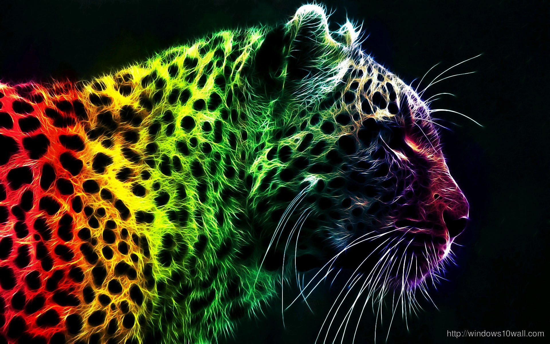 1920x1200 Ultimate Rainbow Leopard Wallpapers