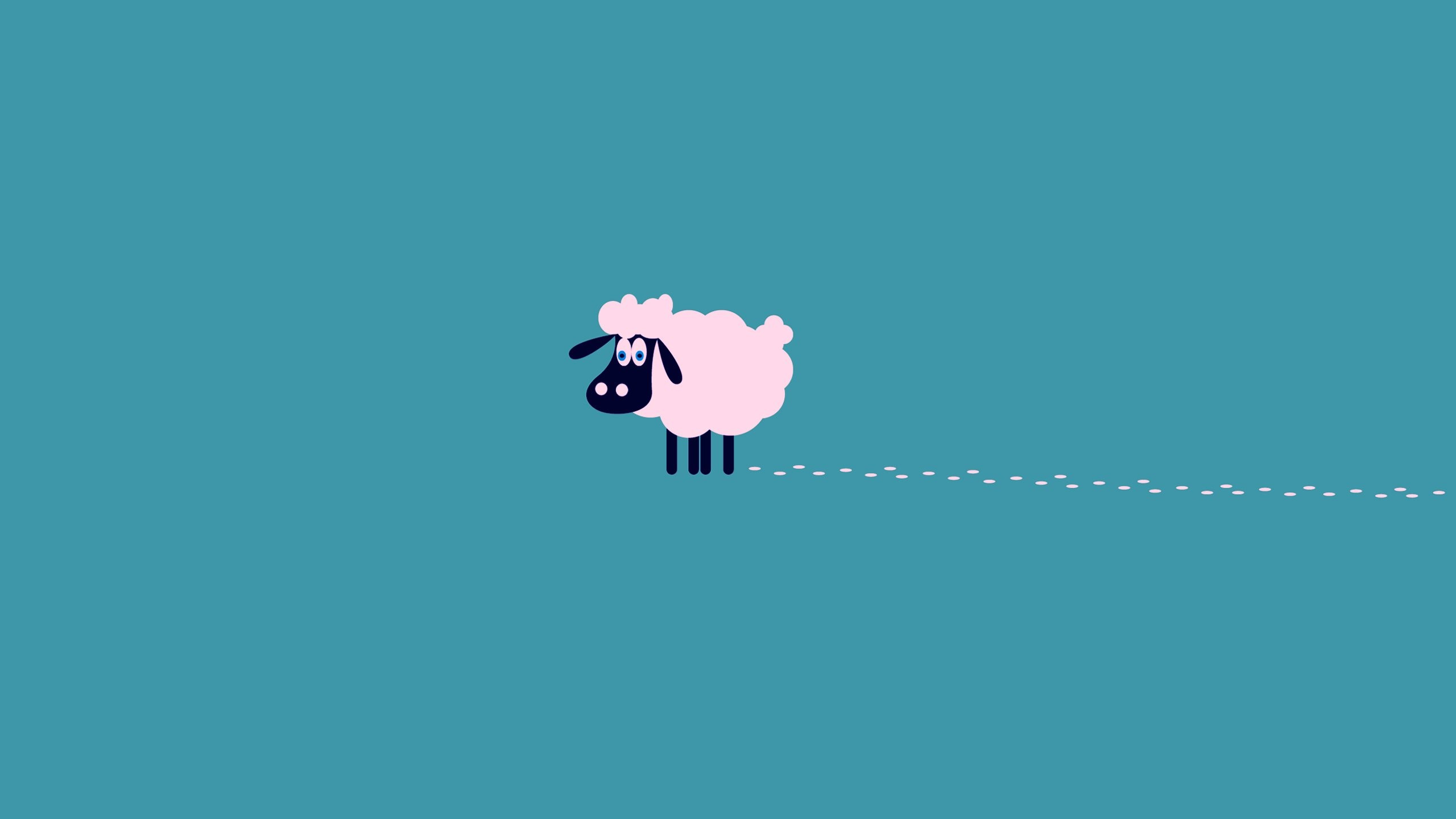 2560x1440 Desktop Background Sheep