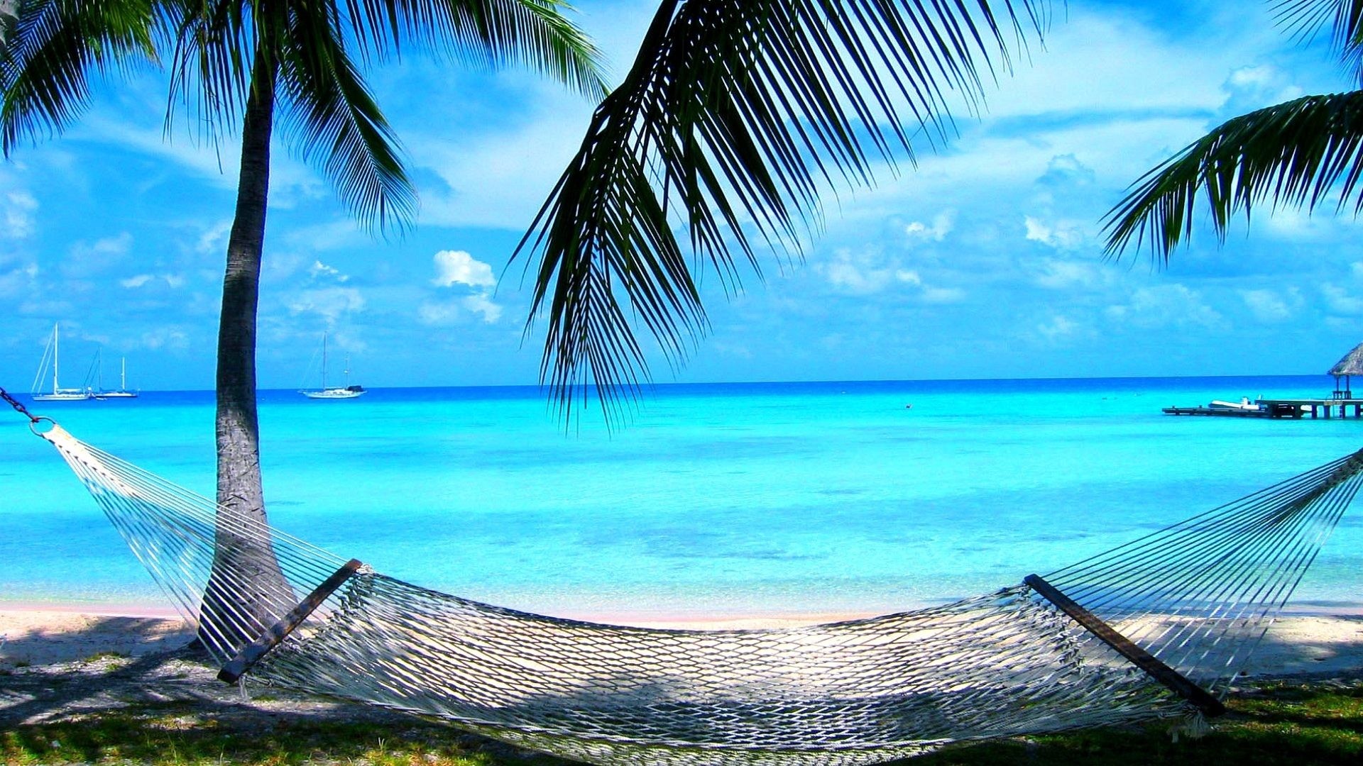 1920x1080 Palms Beach Hammock Sea Relaxation Summer Desktop Wallpaper