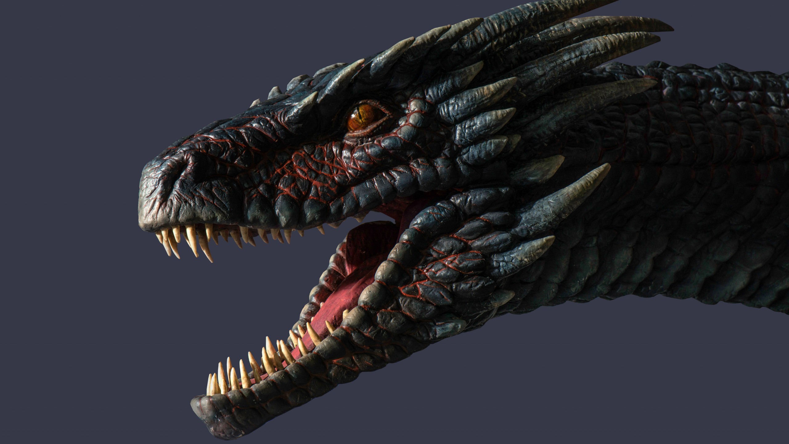 2560x1440 game of thrones dragon wallpaper #394183