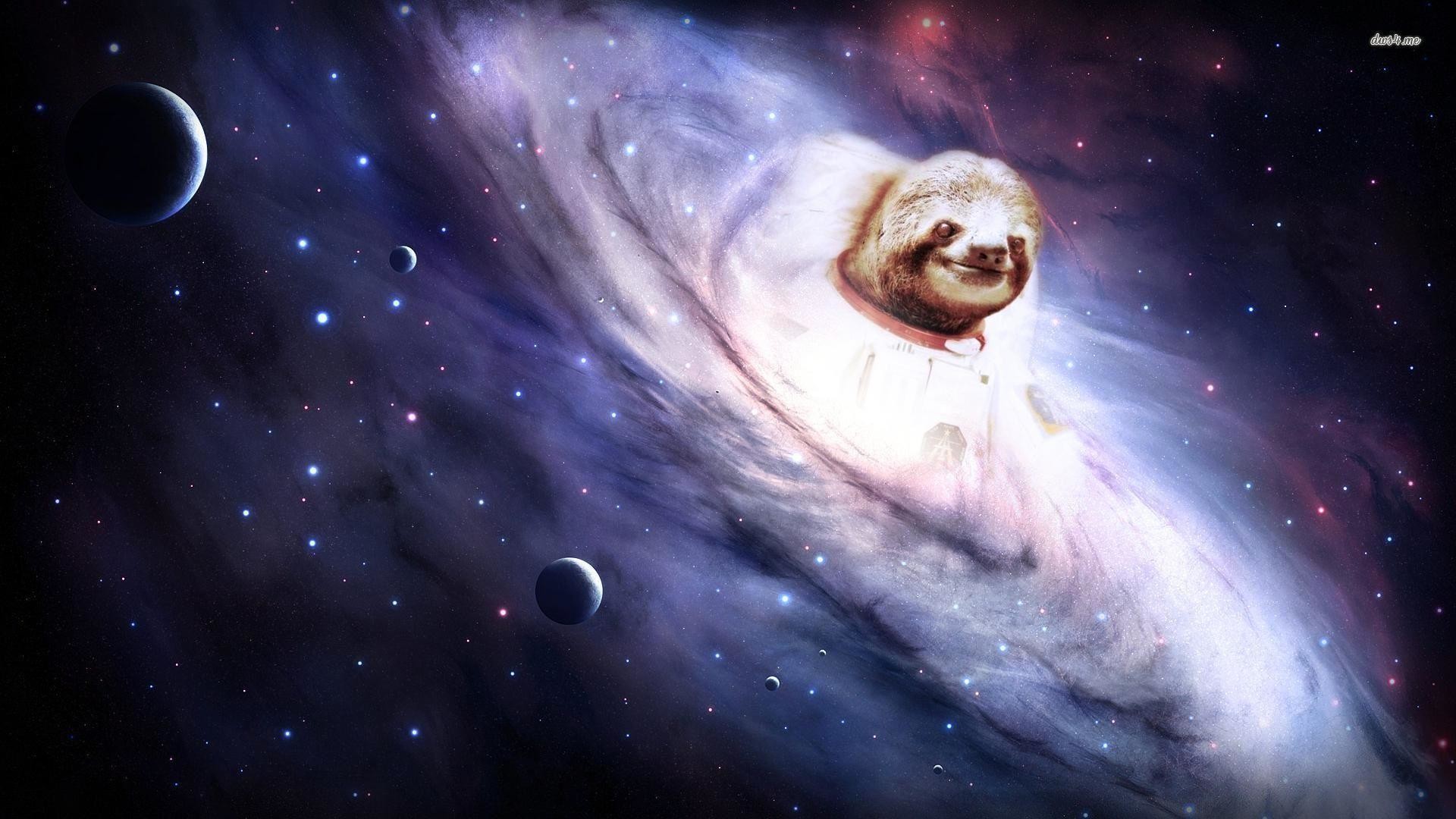 1920x1080 Sloth Wallpapers - Wallpaper Cave