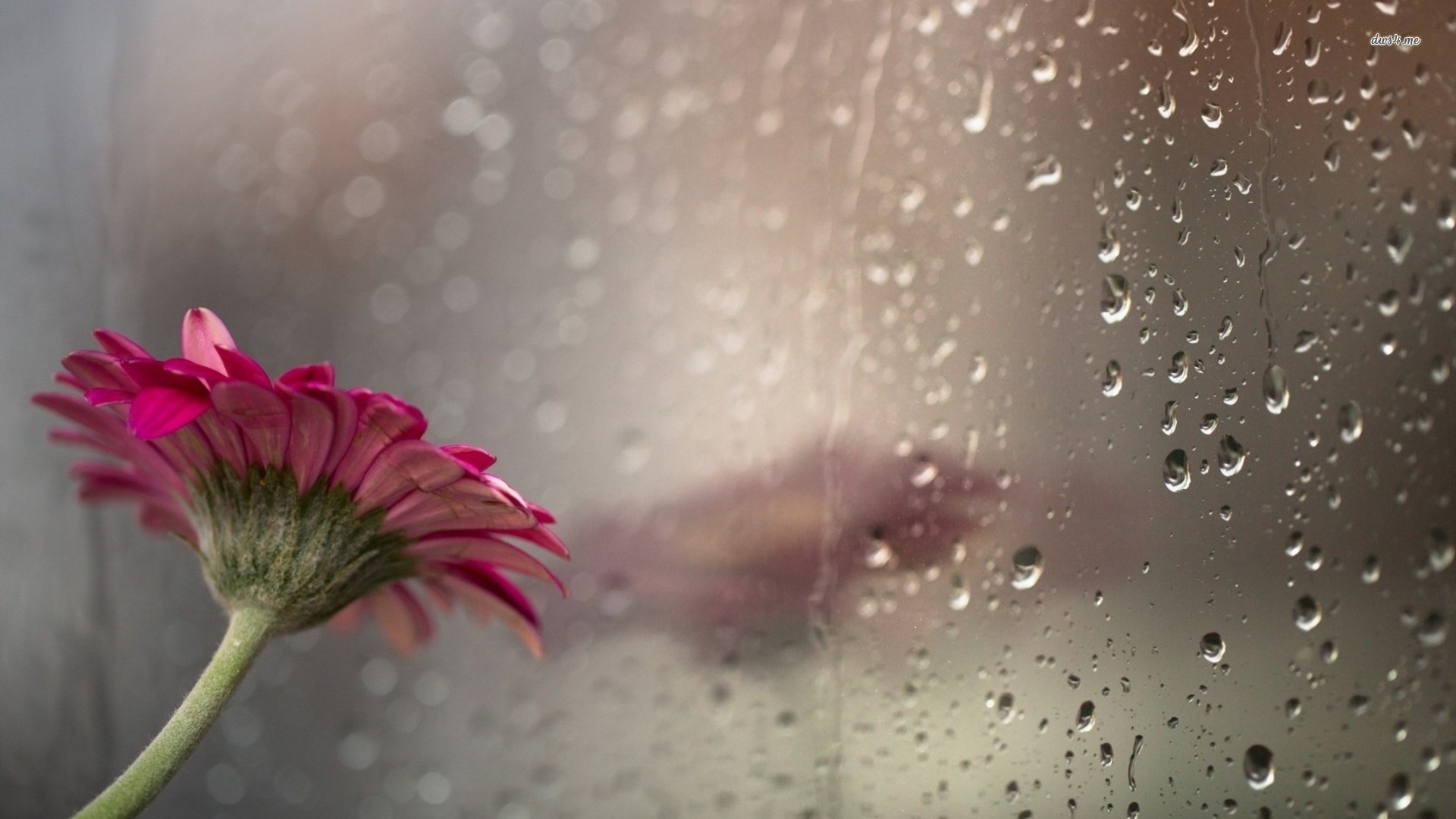 Beautiful Rainy Day Wallpaper (72+ images)