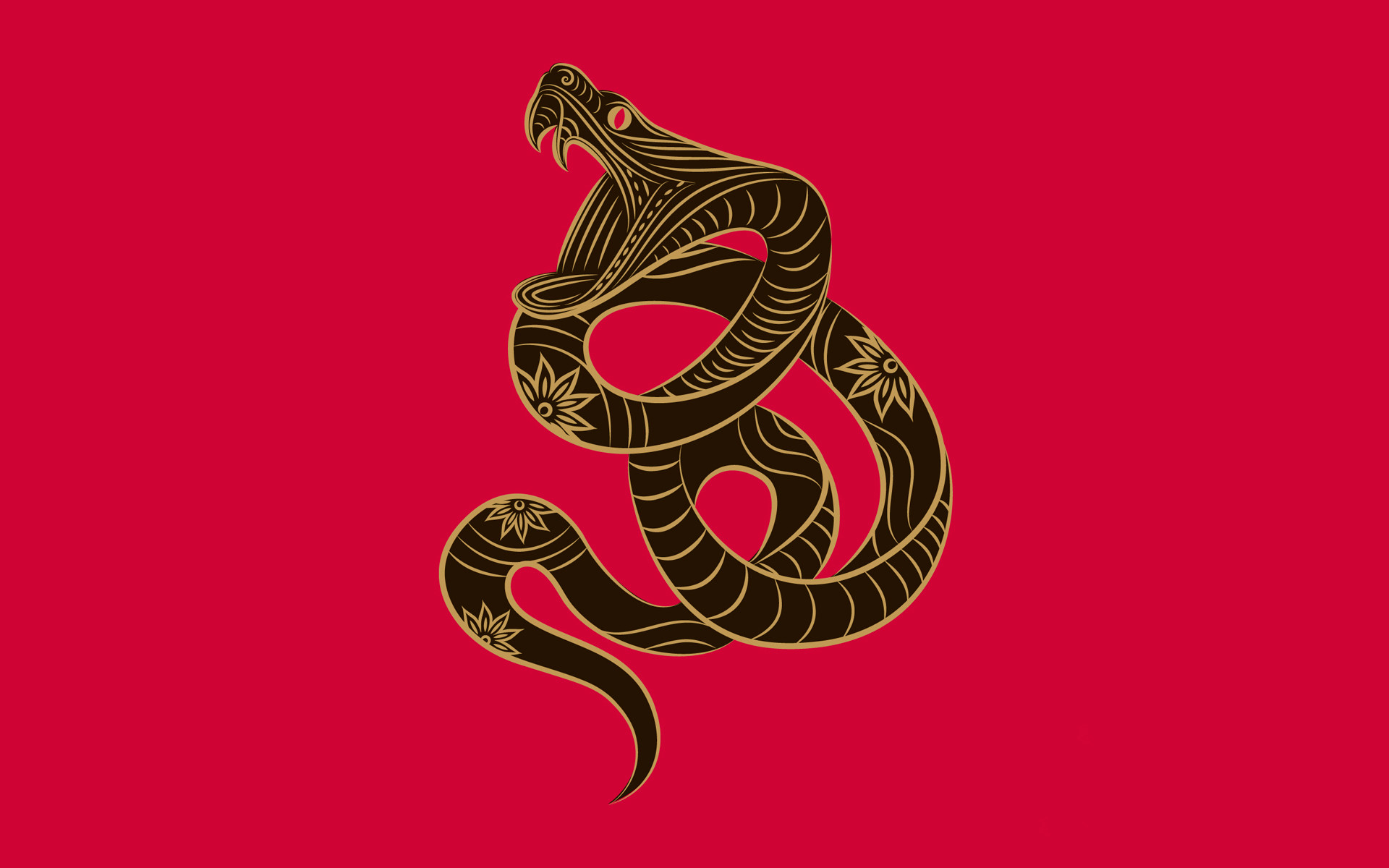1920x1200 Chinese Zodiac Snake wallpapers and stock photos