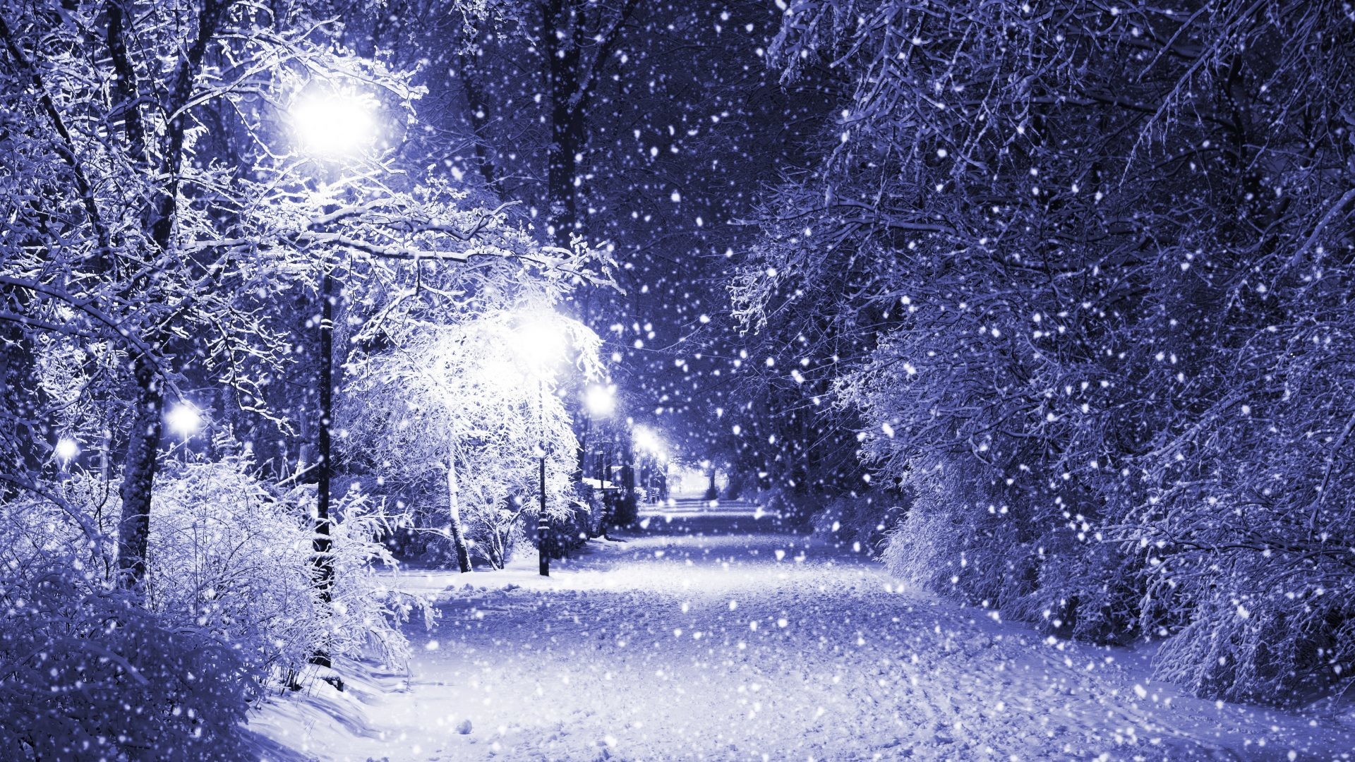 1920x1080 Merry Tag - Quiet Merry Snow Evening Christmas Eve Peaceful Night Park  Nature Lights White Forever