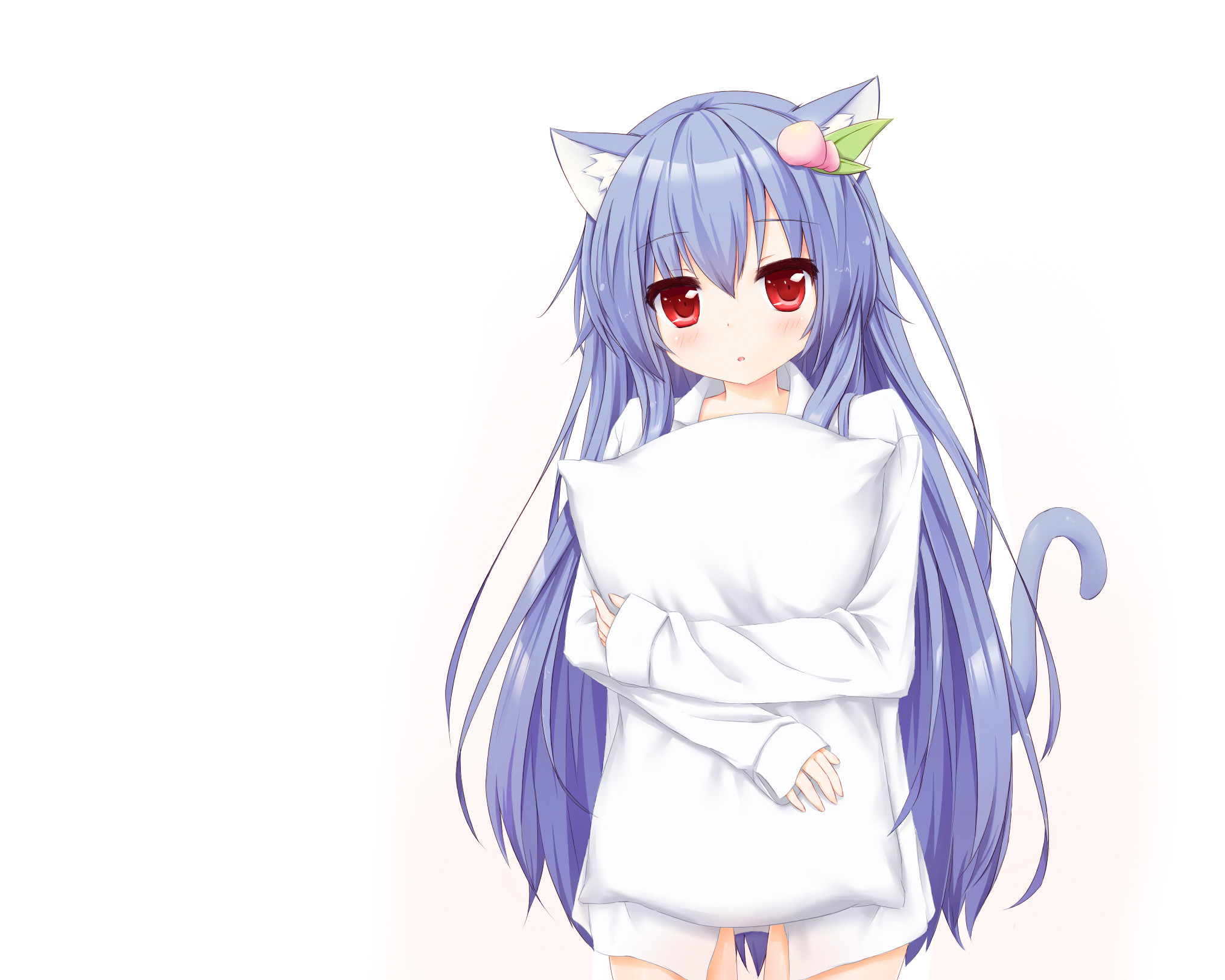 2031x1625 Gallery of Anime Girl With Blue Hair And Cat Ears