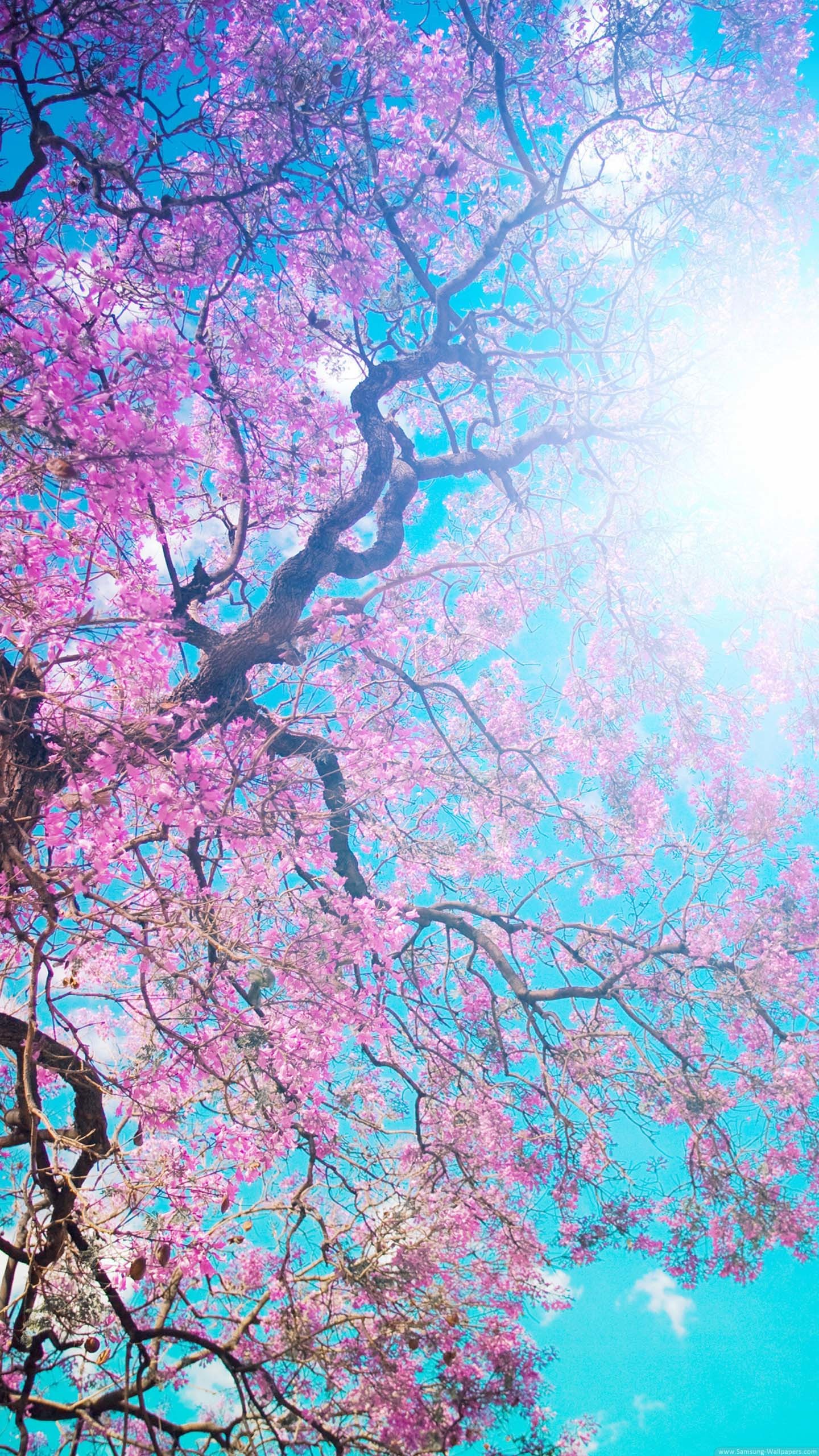 1440x2560 Spring Flowering Lock Screen  Samsung Galaxy S5 Wallpaper HD ...