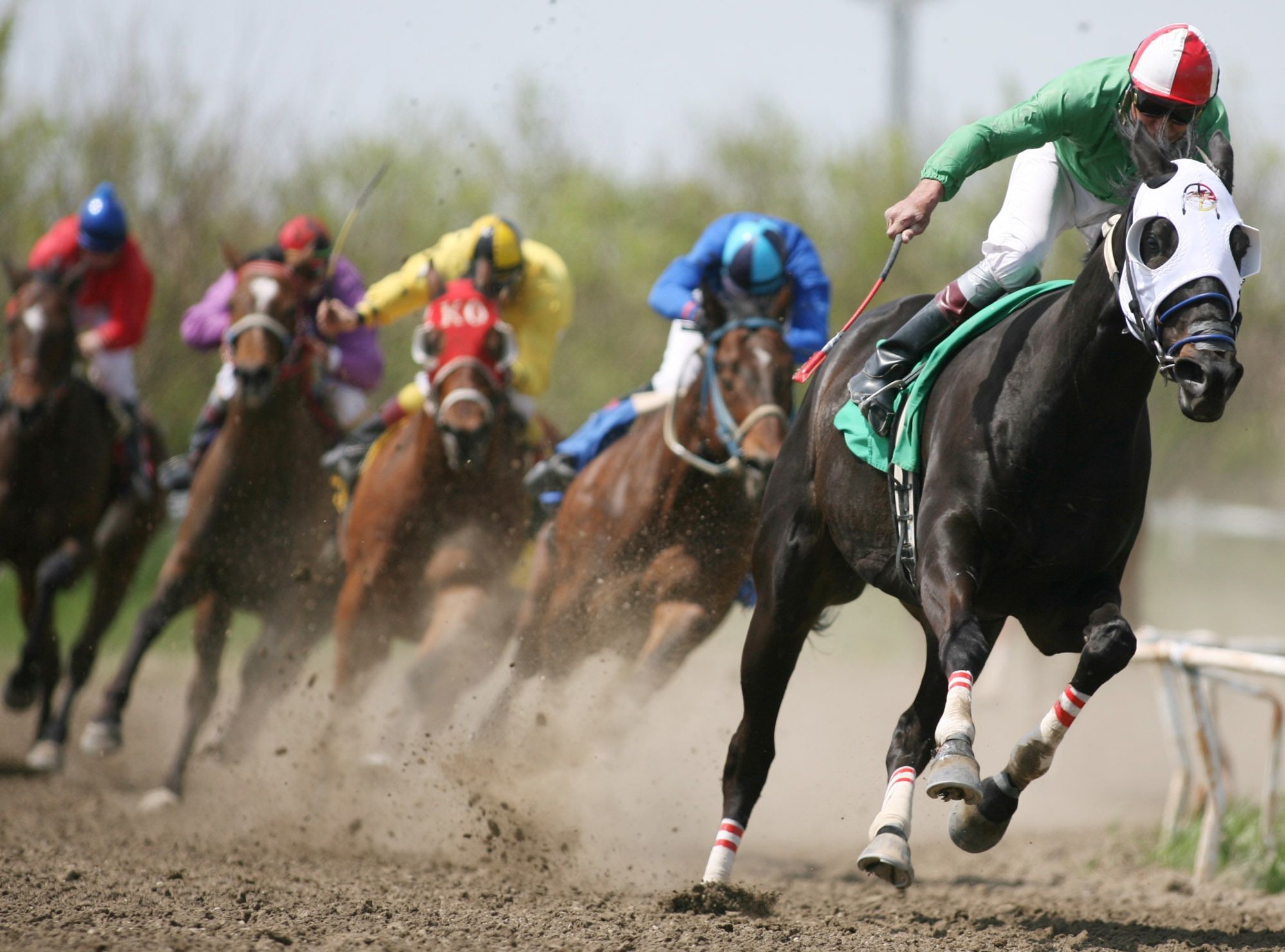 1998x1481 Horse Racing Wallpapers. Animal Wallpapers 39 Views. Share