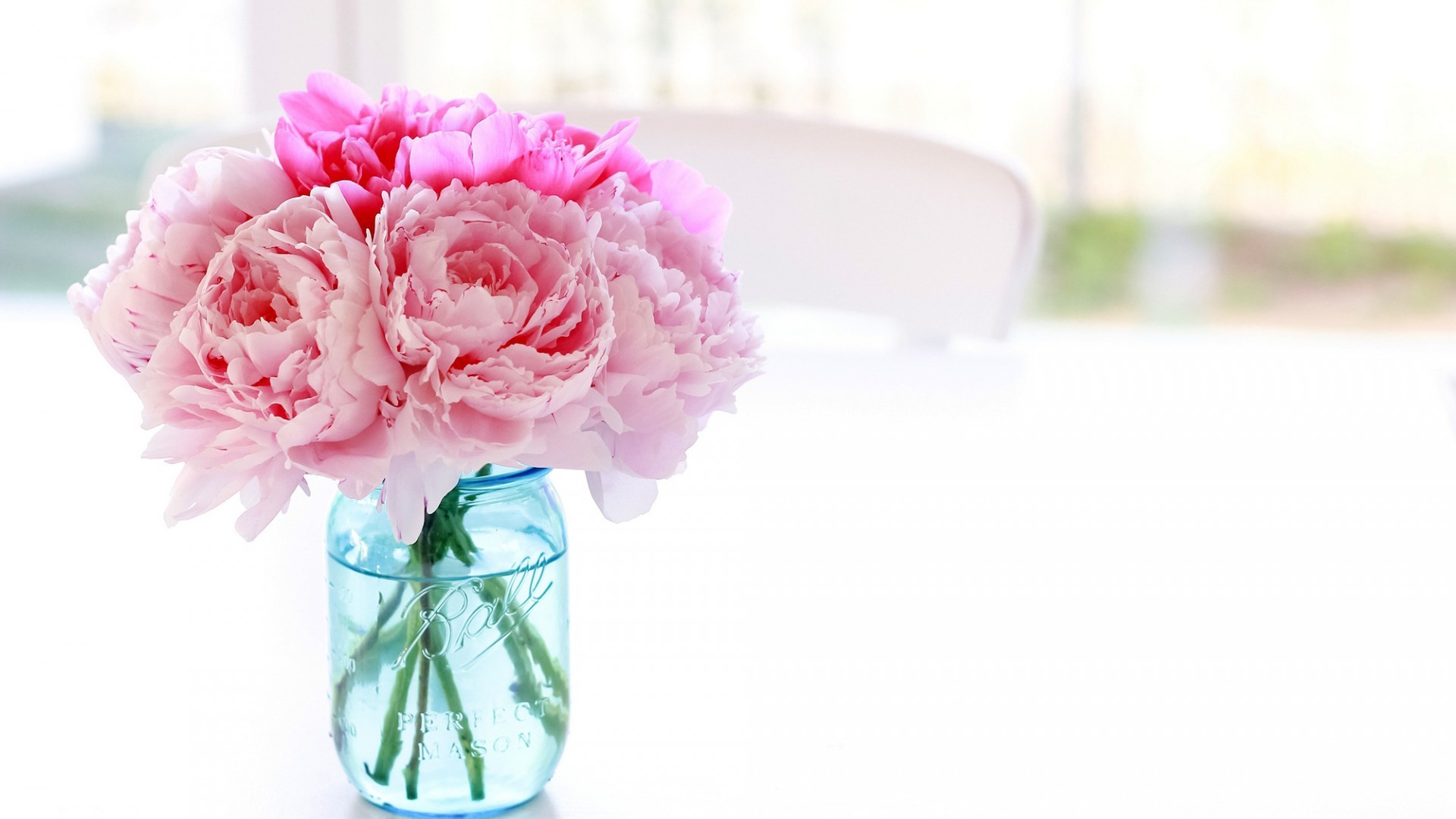 1920x1080 Wallpaper bouquet, peony, bank, Pale pink peonies in a bank.