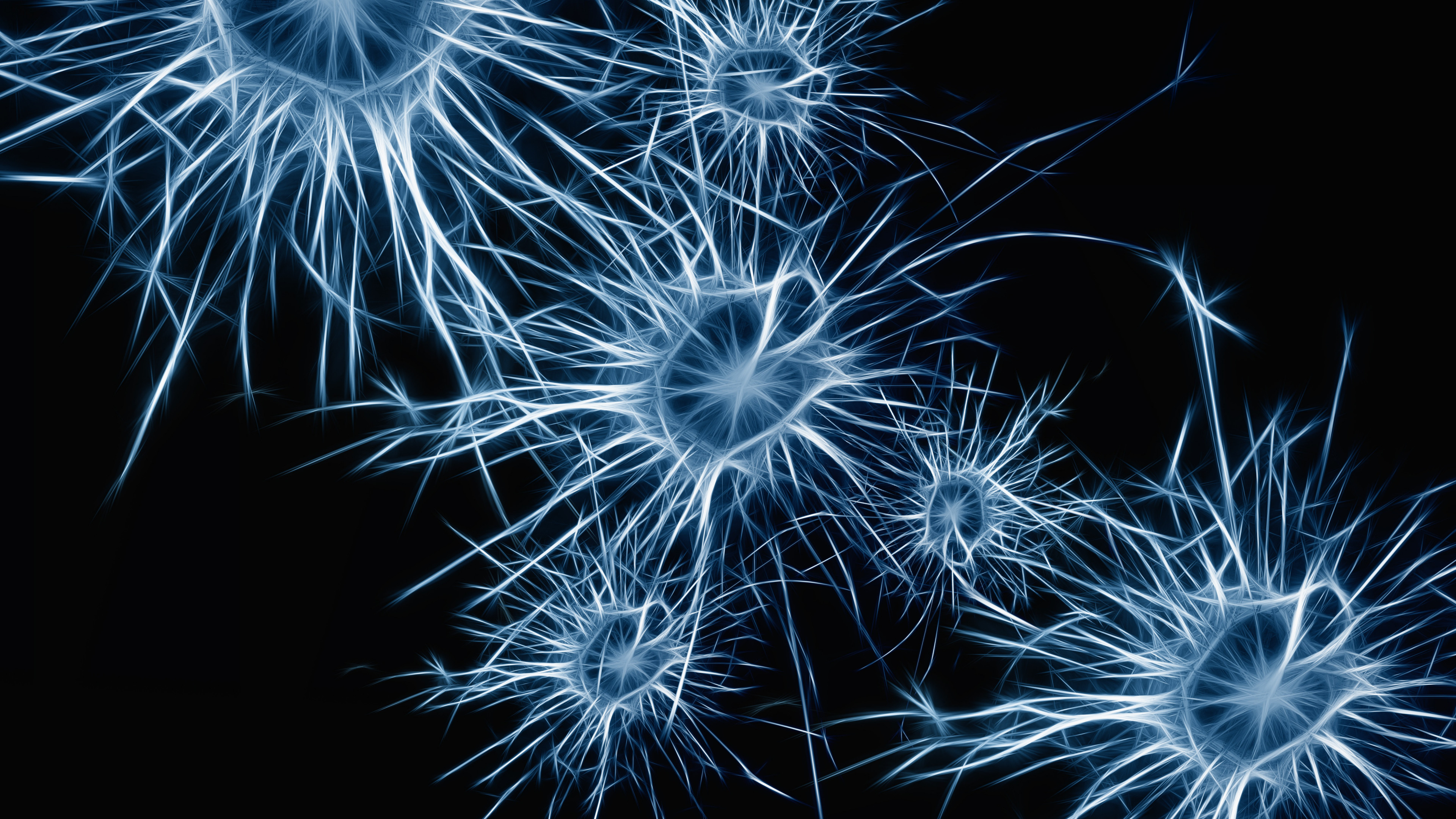 3840x2160  Wallpaper neurons, cell, structure