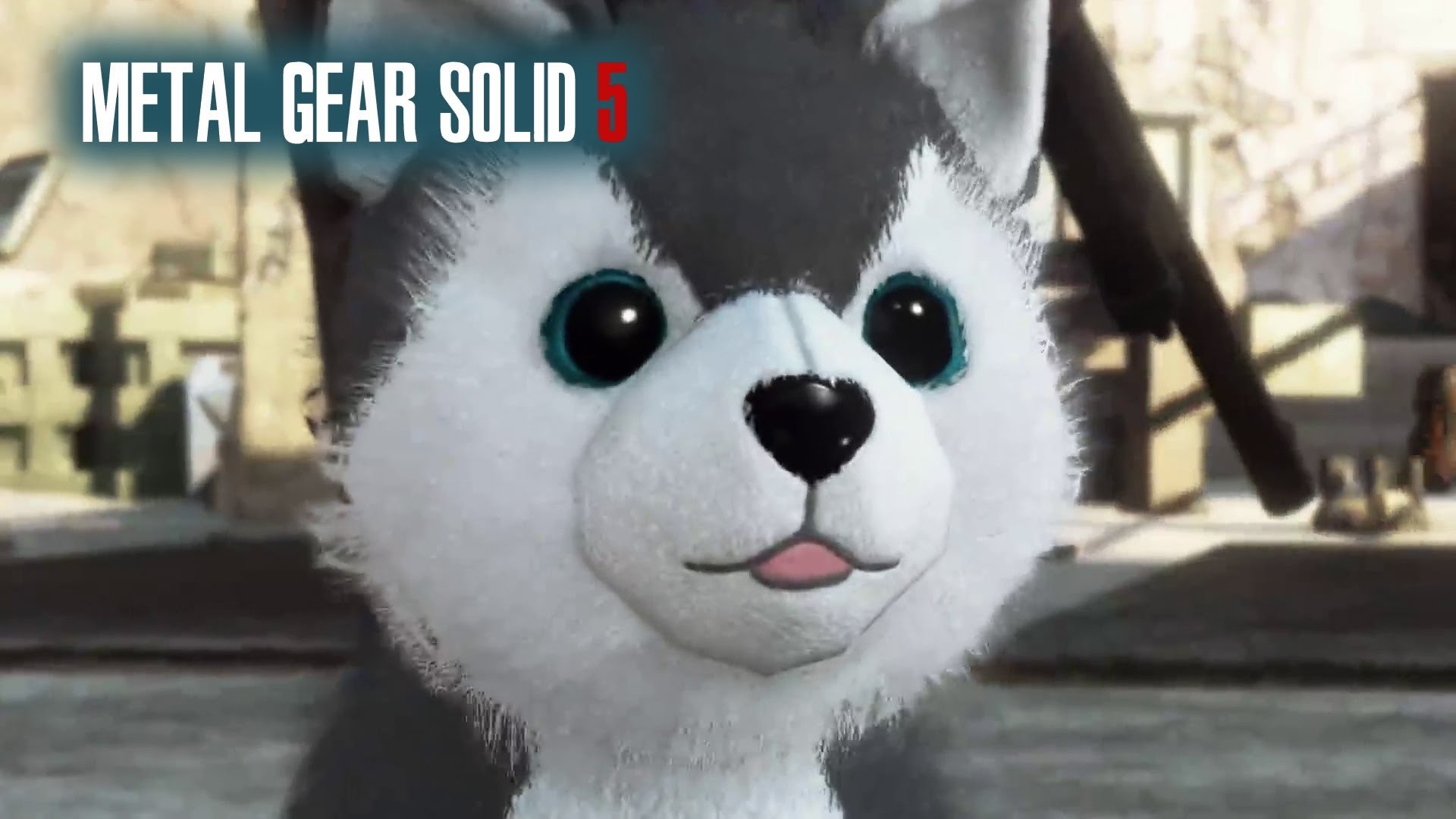 1920x1080 Metal Gear Solid 5 Phantom Pain, DD Diamond Dog Location How To Find, The  Cute Puppy Dog - YouTube