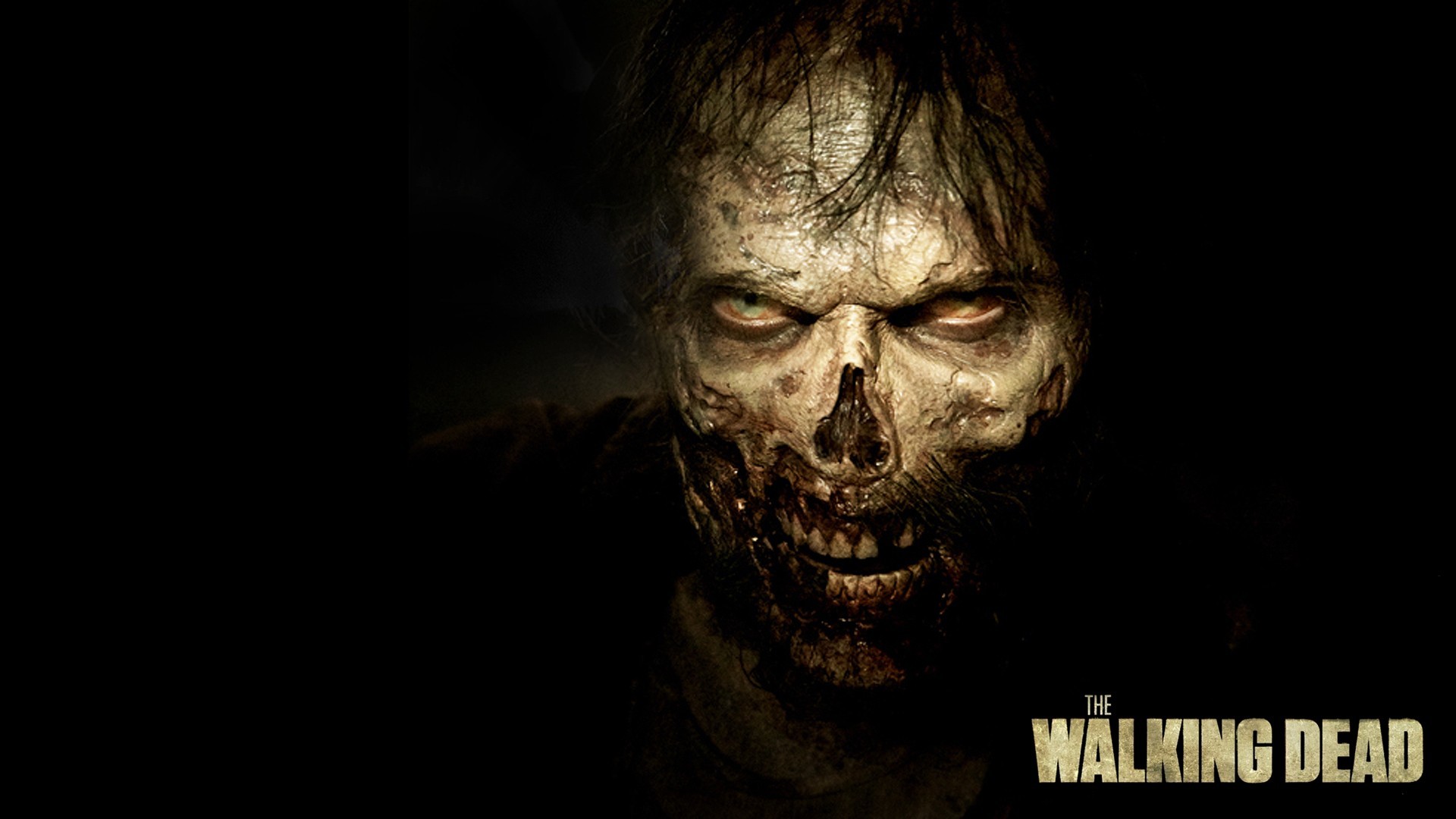 1920x1080 The Walking Dead (Season 5) - Them | Walking Dead Zombie Wallpaper in 1920