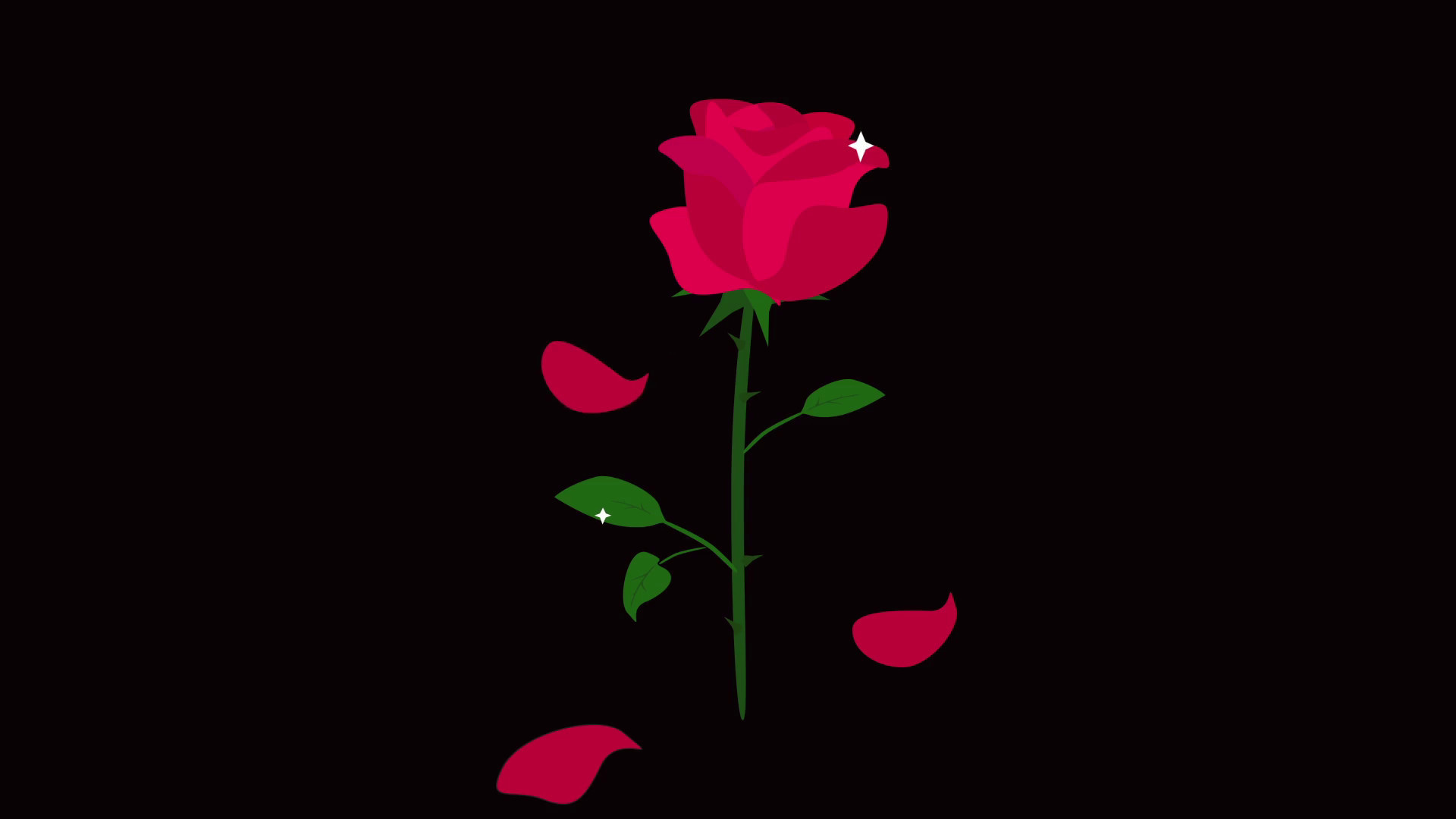 1920x1080 Red rose isolated with falling leaves on black background. Rose in motion  4K animation.