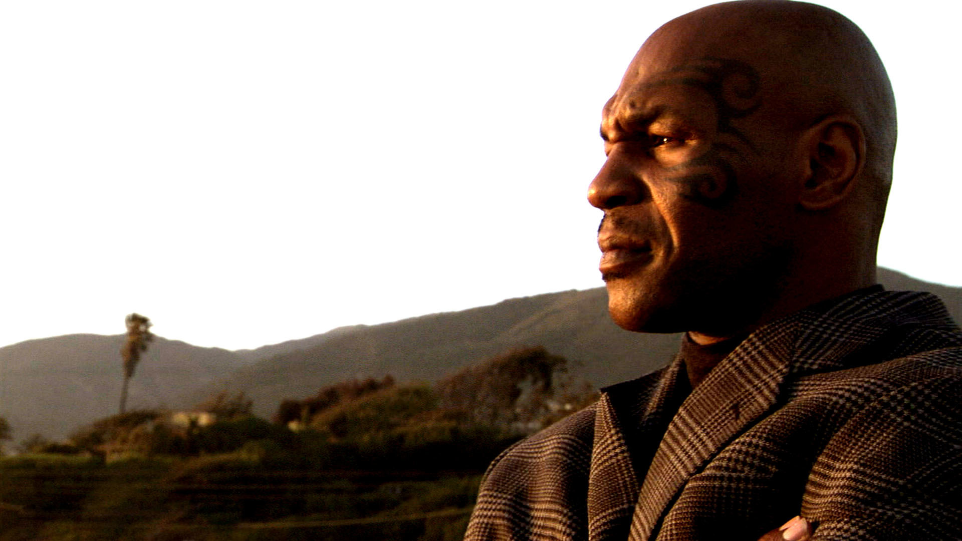 1920x1080 Mike Tyson wallpapers