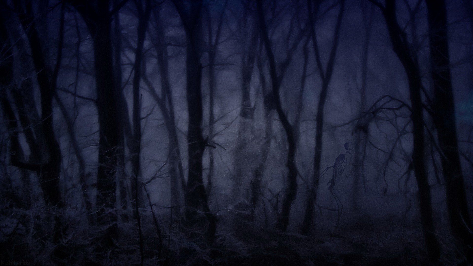1920x1080 Creepy Forest Wallpaper  Creepy, Forest, Fog