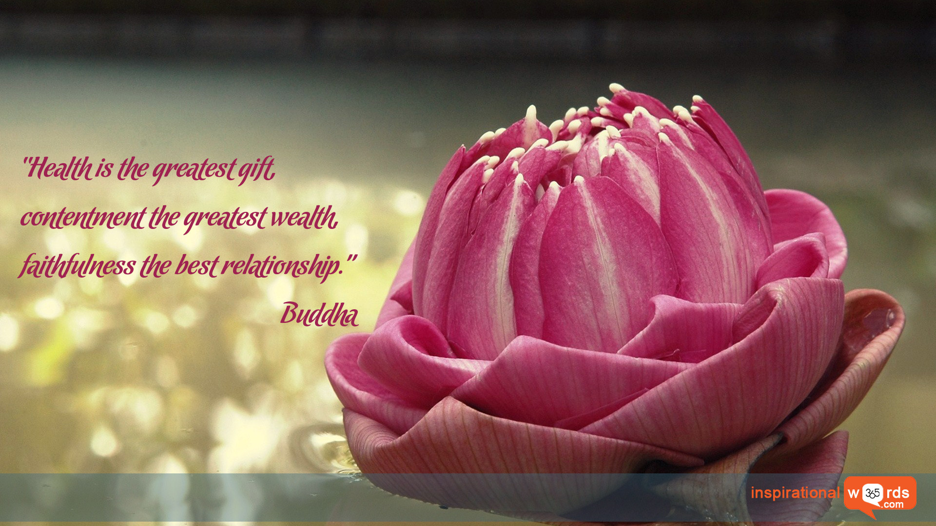 1920x1080 Inspirational Wallpaper Quote by Buddha