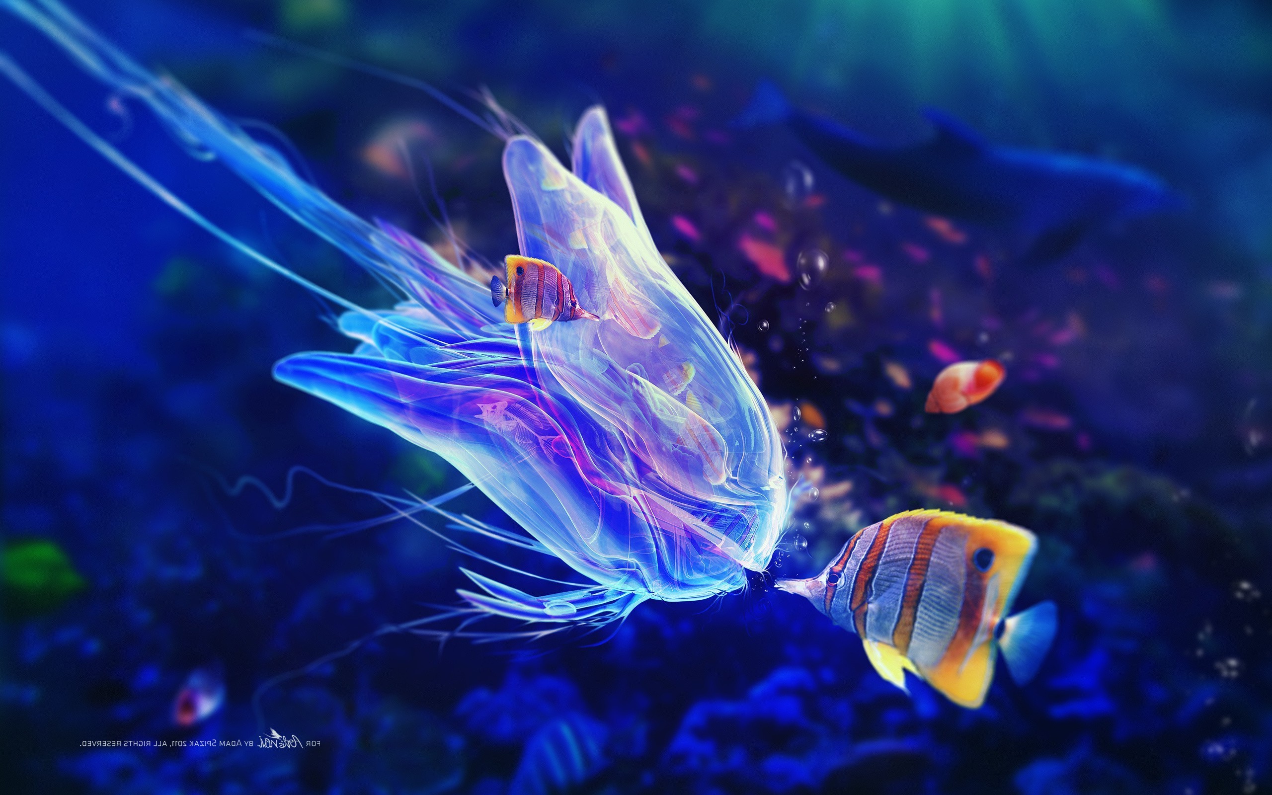 2560x1600 fantasy Art, Bubbles, Fish, Adam Spizak, Digital Art, Sea, Underwater  Wallpapers HD / Desktop and Mobile Backgrounds