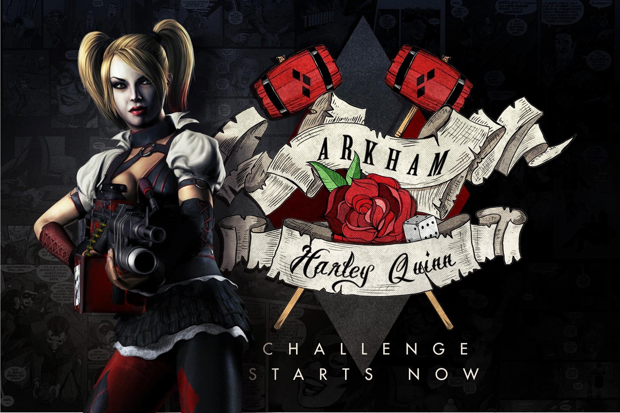 2048x1367 Harley Quinn Background Wallpaper Free  484 Kb By