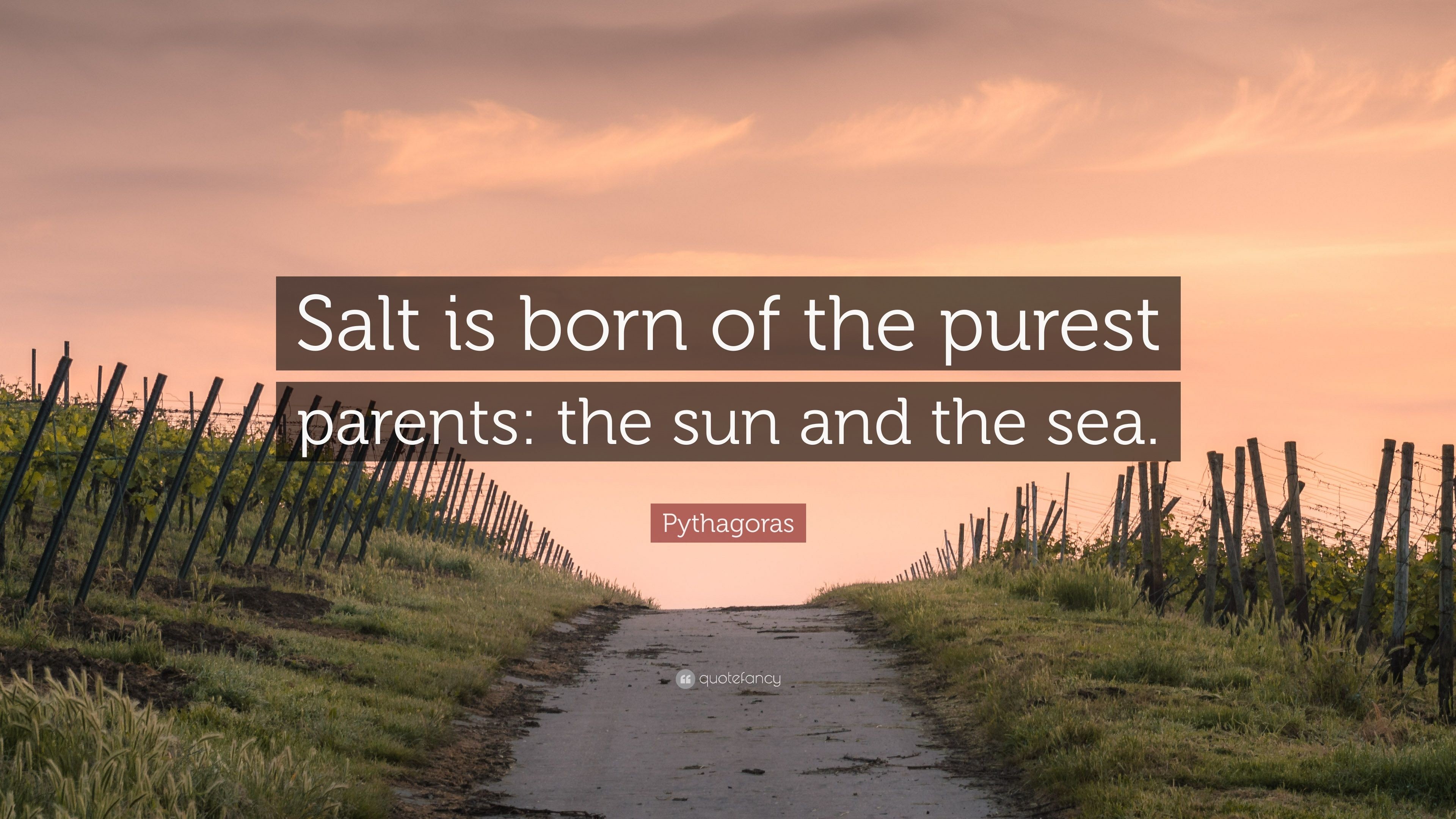 3840x2160 Pythagoras Quote: “Salt is born of the purest parents: the sun and the