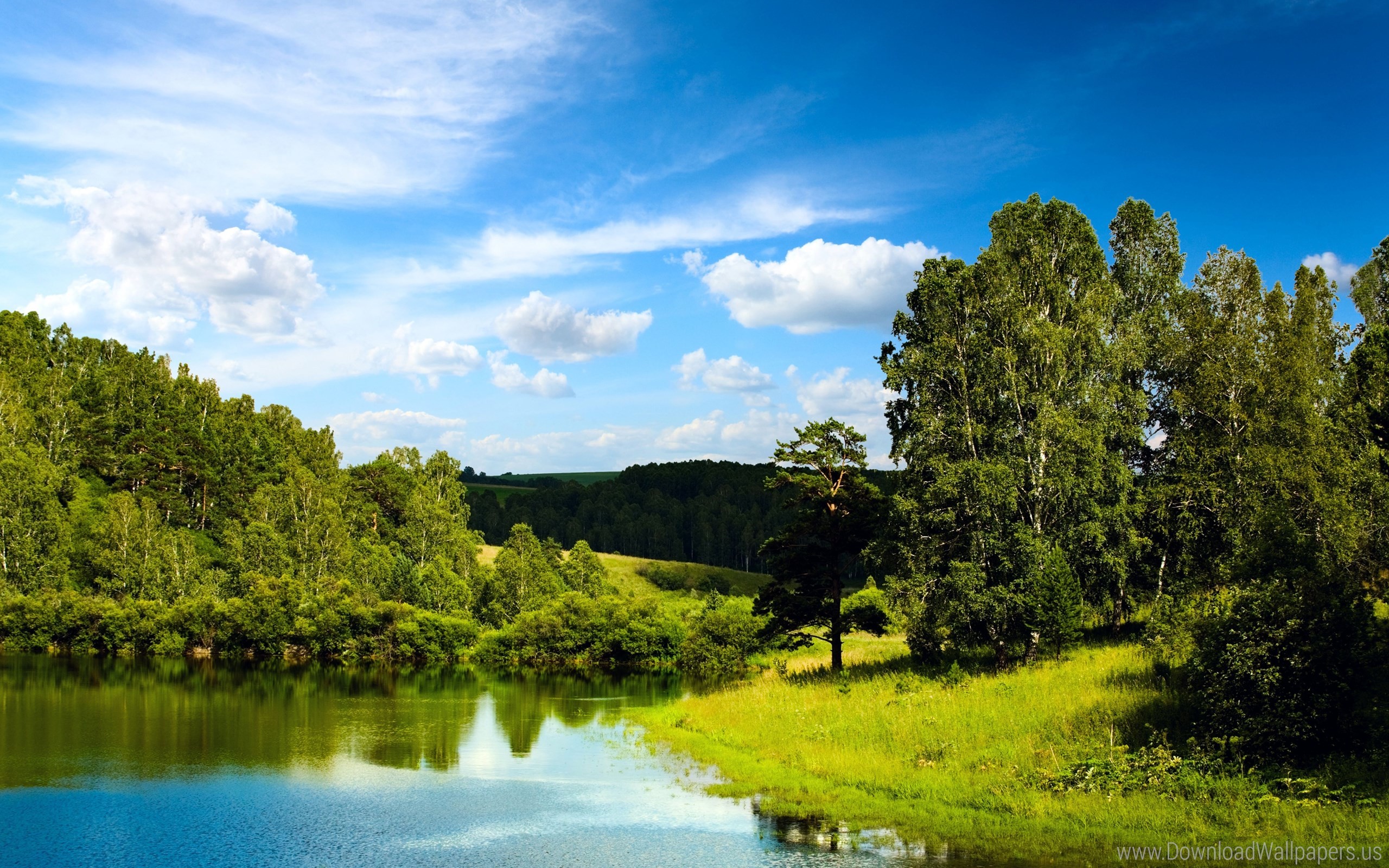 2560x1600 Download Widescreen 16:10  - Blue Sky, Blue Sky, Clouds, Forest,  Landscape, Mirror Lake, Reflection, Trees, Water Wallpaper