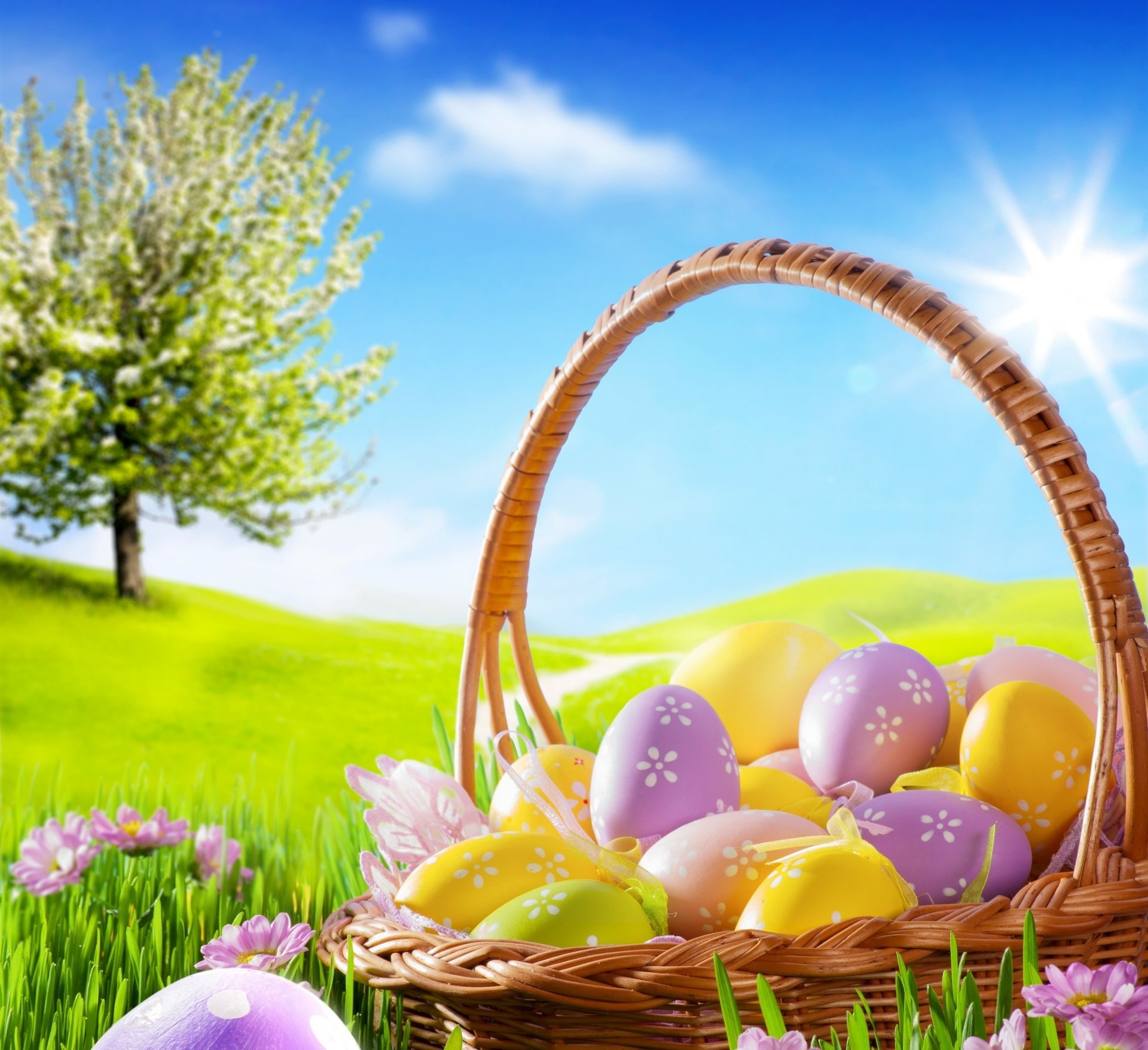 1920x1757 easter spring sunshine meadow grass flowers eggs camomile blue sky basket easter  spring grass chamomile eggs