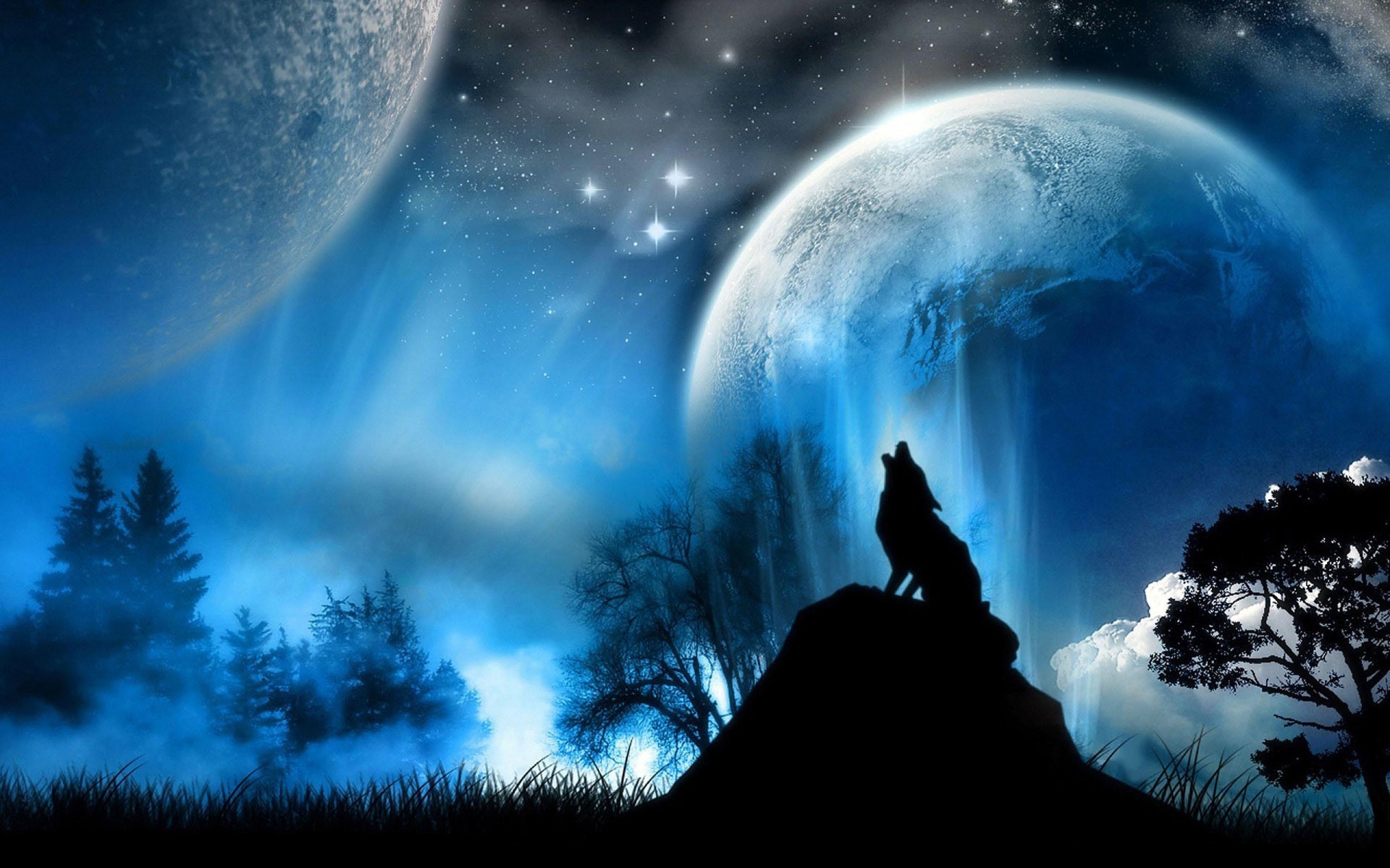 1920x1200 Download Wolf and Moon Wallpaper pictures in high definition or .