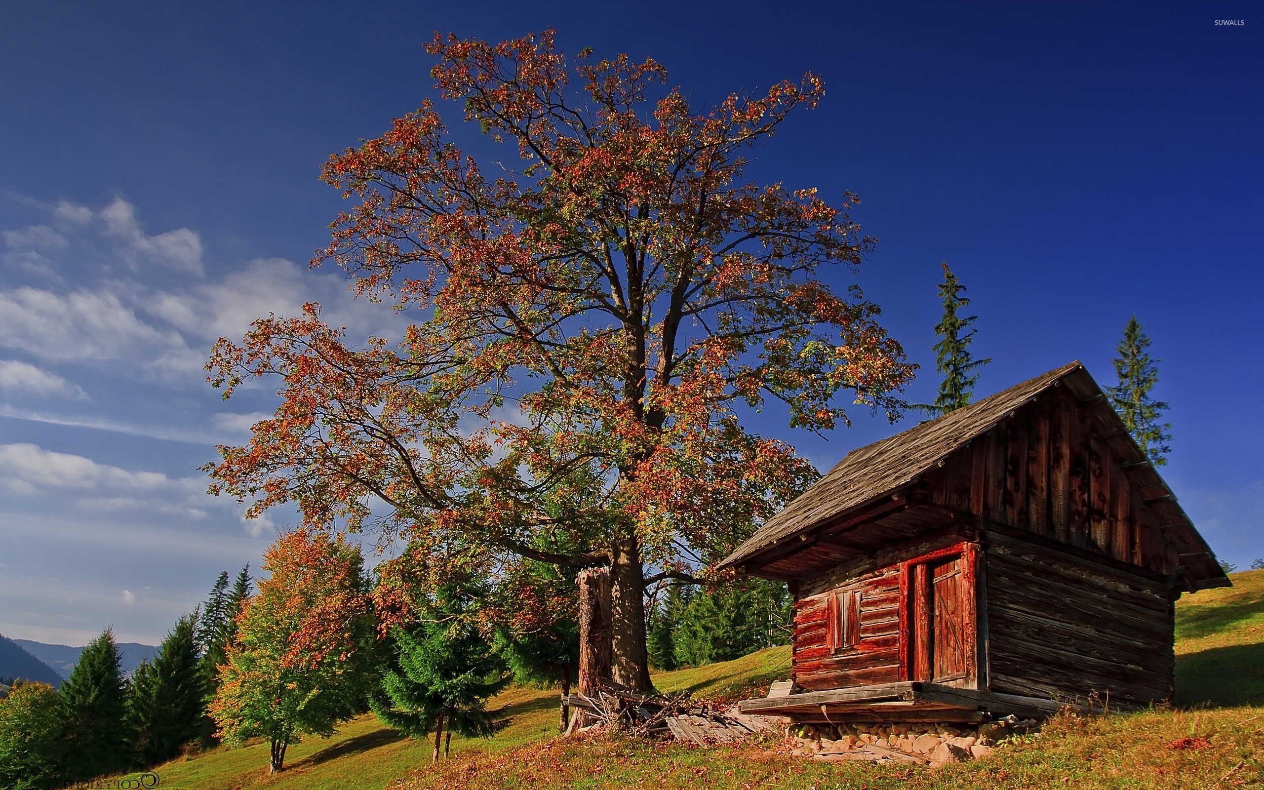 2560x1600 Old small wooden house under an autumn tree wallpaper