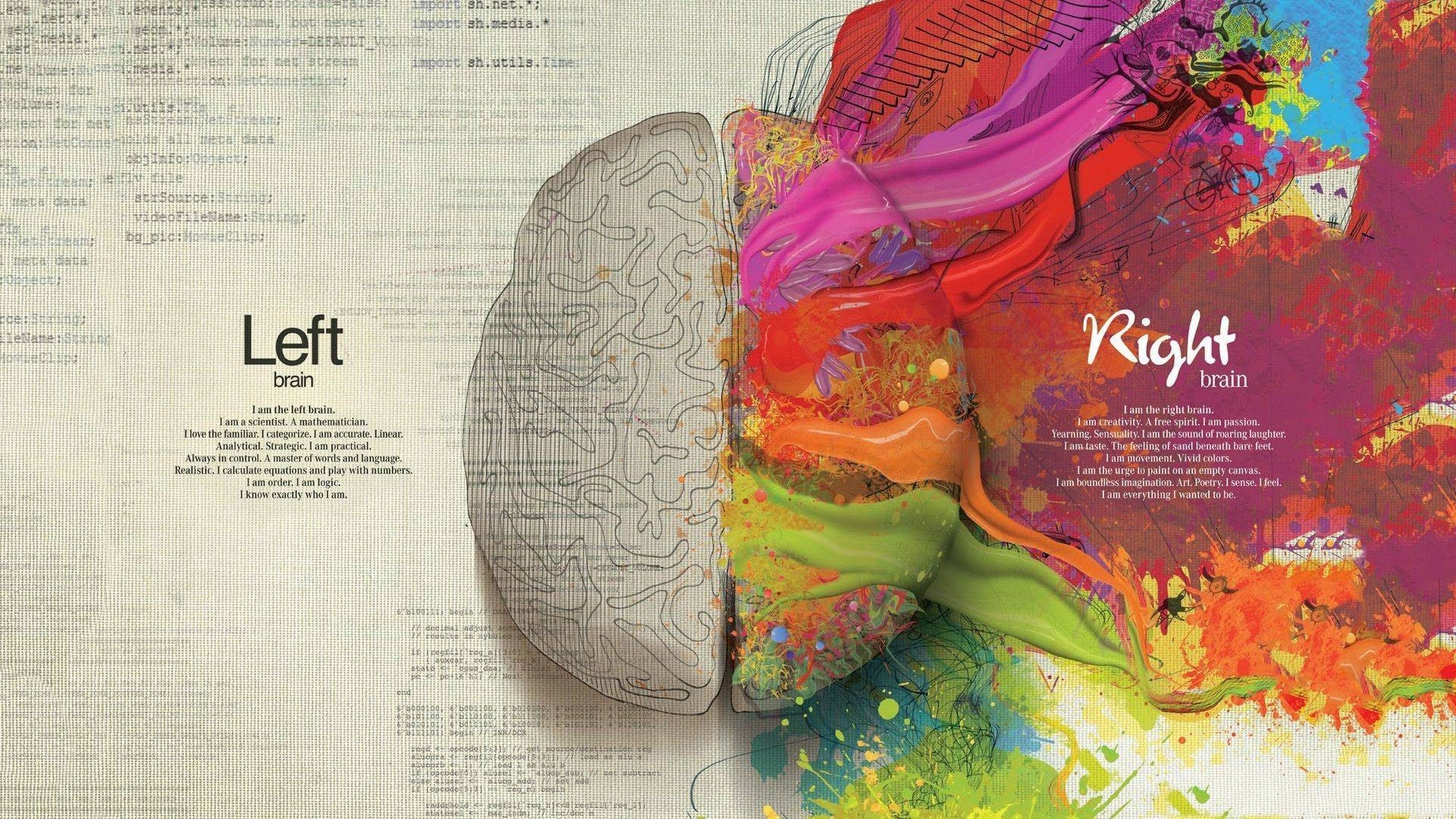 1920x1080 Artwork Brains Anatomy