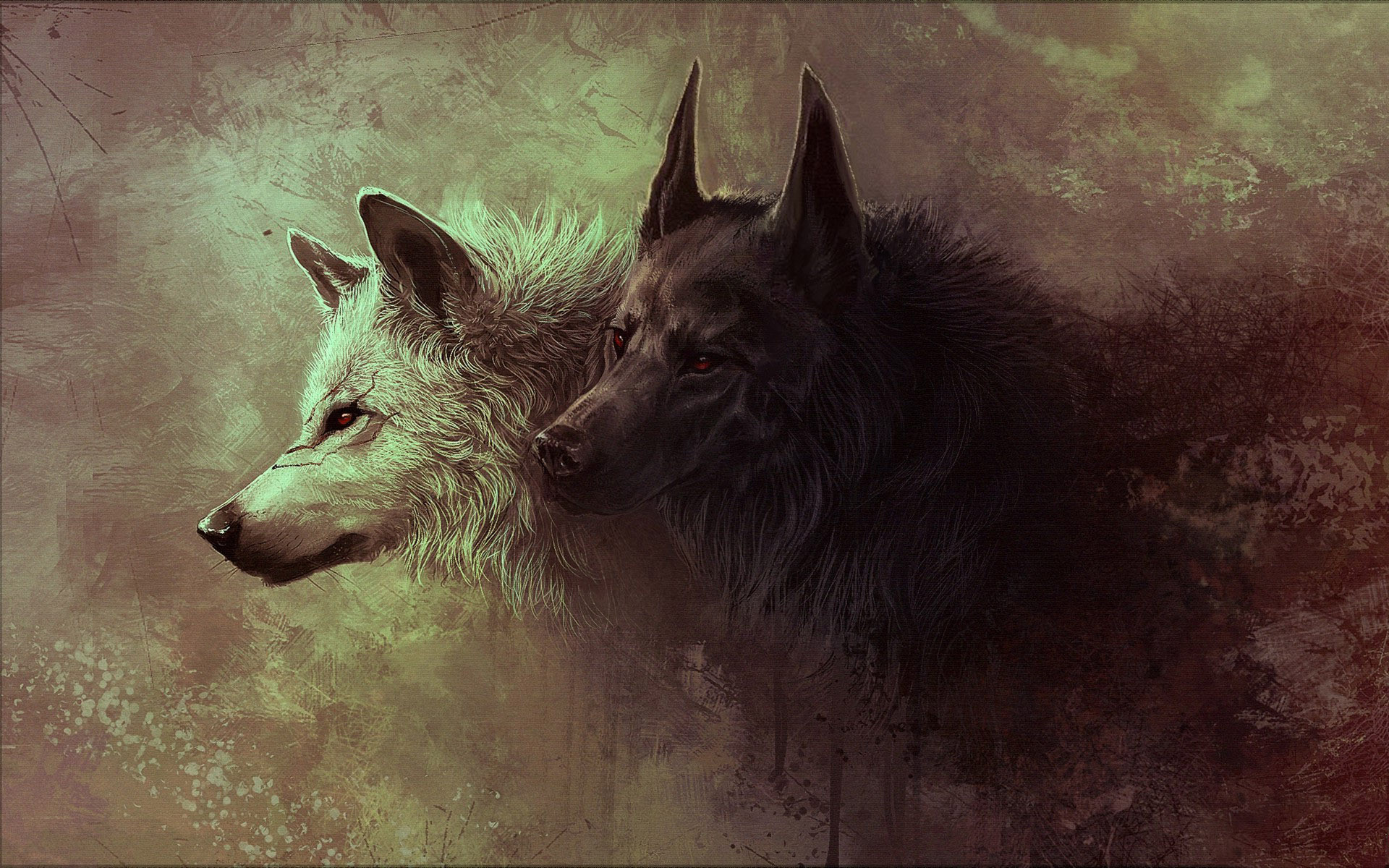 1920x1200 Wallpapers of Wolf HD, 0.71 Mb, Aileen Desir