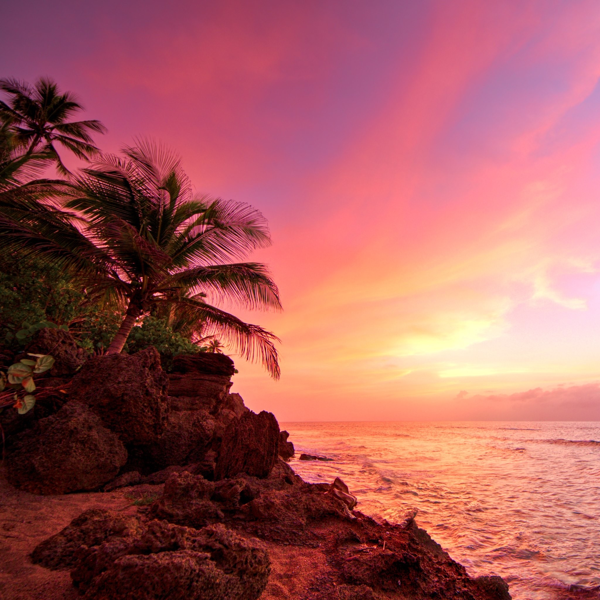 2048x2048 4K HD Wallpaper: Sunset, palms and the ocean in Rincon, Puerto Rico