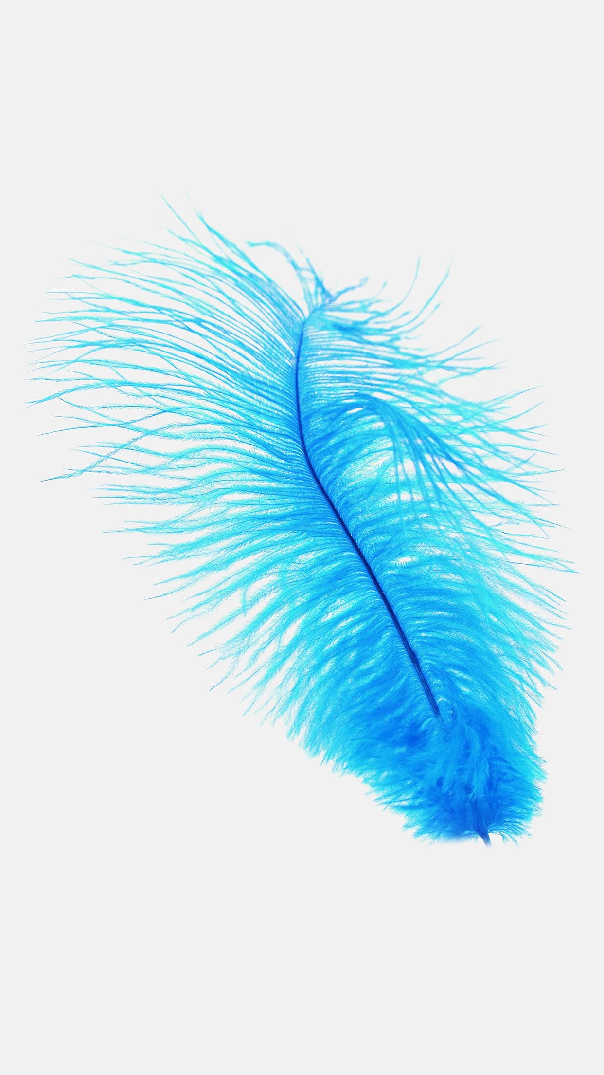 1242x2208 an97-feather-blue-white-nature-minimal
