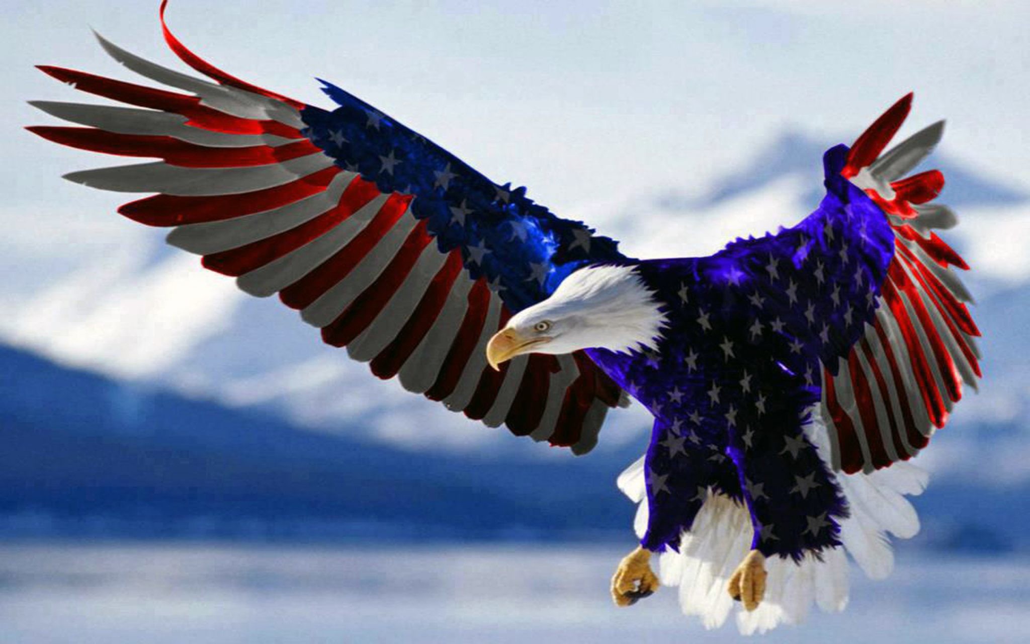 2048x1280 Bald Eagle American Flag Hd Wallpaper For Mobile Phones Tablet And Pc  2560Ã1600