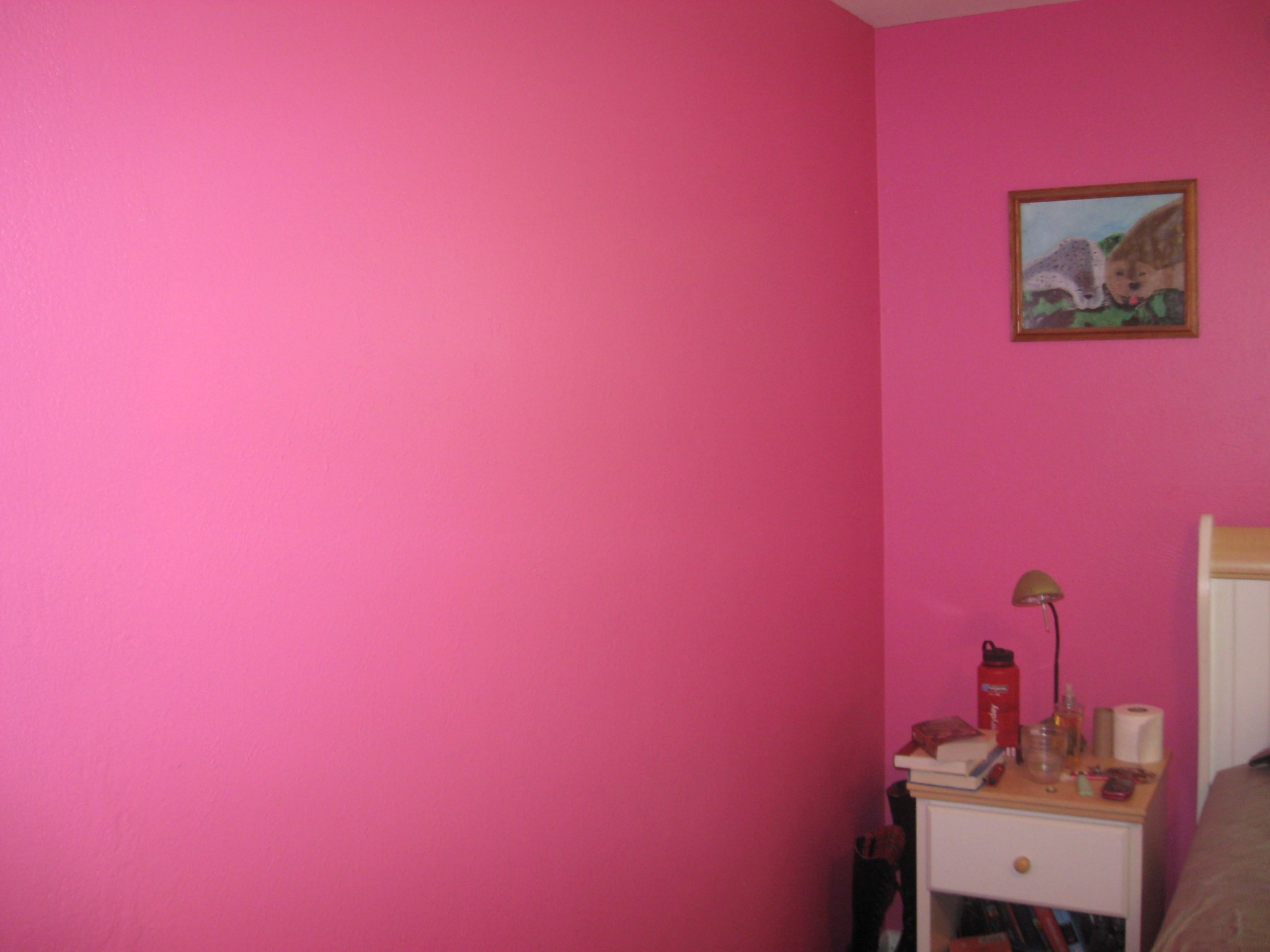 2048x1536 Wall Paint Colors Beige For Bathroom Master Goodbye Insane Barbie Pink  There Will Be Stuff. ...