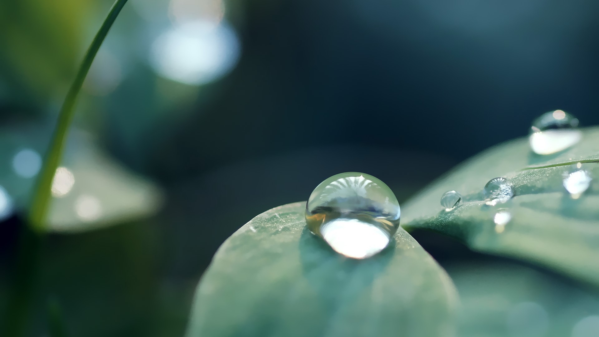 1920x1080 Water Drop HD Wallpaper | Background Image |  | ID:417314 -  Wallpaper Abyss