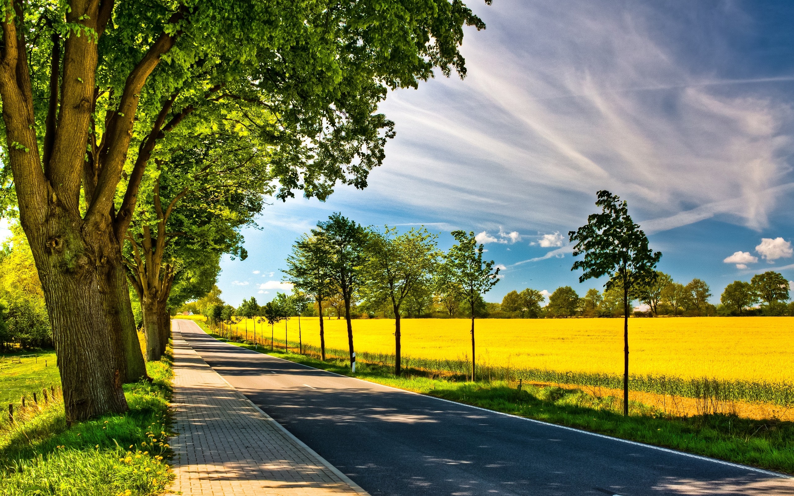 2560x1600 Image: Spring Road wallpapers and stock photos. Â«