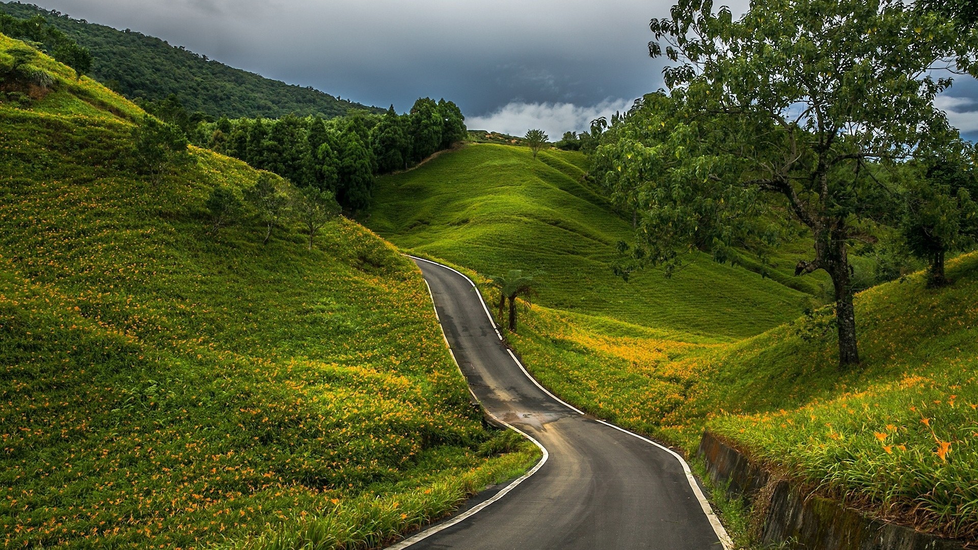 1920x1080 Country Road